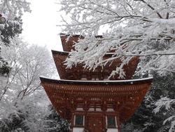 平成26年2月14日現在の浄瑠璃寺の雪景色の写真2