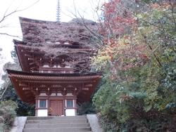 平成25年12月11日現在の紅葉が終わった浄瑠璃寺2