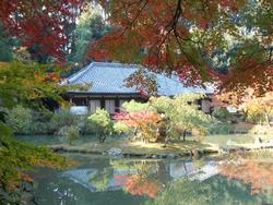 平成25年11月16日現在の浄瑠璃寺の紅葉2