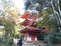 平成25年11月16日現在の岩船寺の紅葉