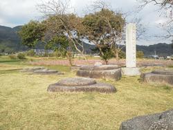 平成24年11月7日現在の恭仁宮跡の柿の写真