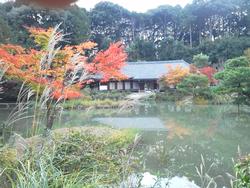 平成24年11月7日現在の見頃間近の浄瑠璃寺2