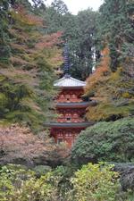 平成25年11月22日現在の岩船寺の紅葉1