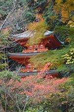 平成25年11月22日現在の岩船寺の紅葉2