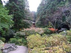 平成24年11月11日現在の岩船寺の写真1