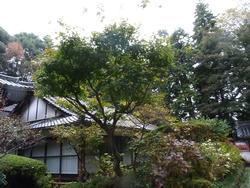 平成24年11月11日現在の岩船寺の写真2