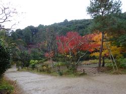 平成24年11月11日現在の浄瑠璃寺の写真1