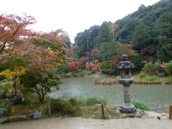 平成24年11月11日現在の浄瑠璃寺の写真2