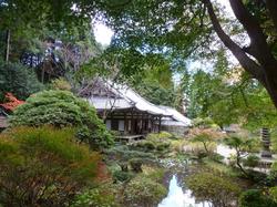 平成24年11月15日現在の見頃前の岩船寺3