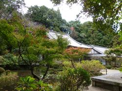 平成24年11月15日現在の見頃前の岩船寺4