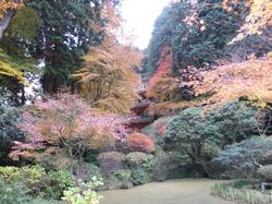 平成24年11月28日現在の岩船寺の紅葉1