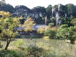 平成25年10月28日現在の浄瑠璃寺の写真2