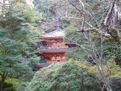 平成25年10月28日現在の岩船寺の写真2