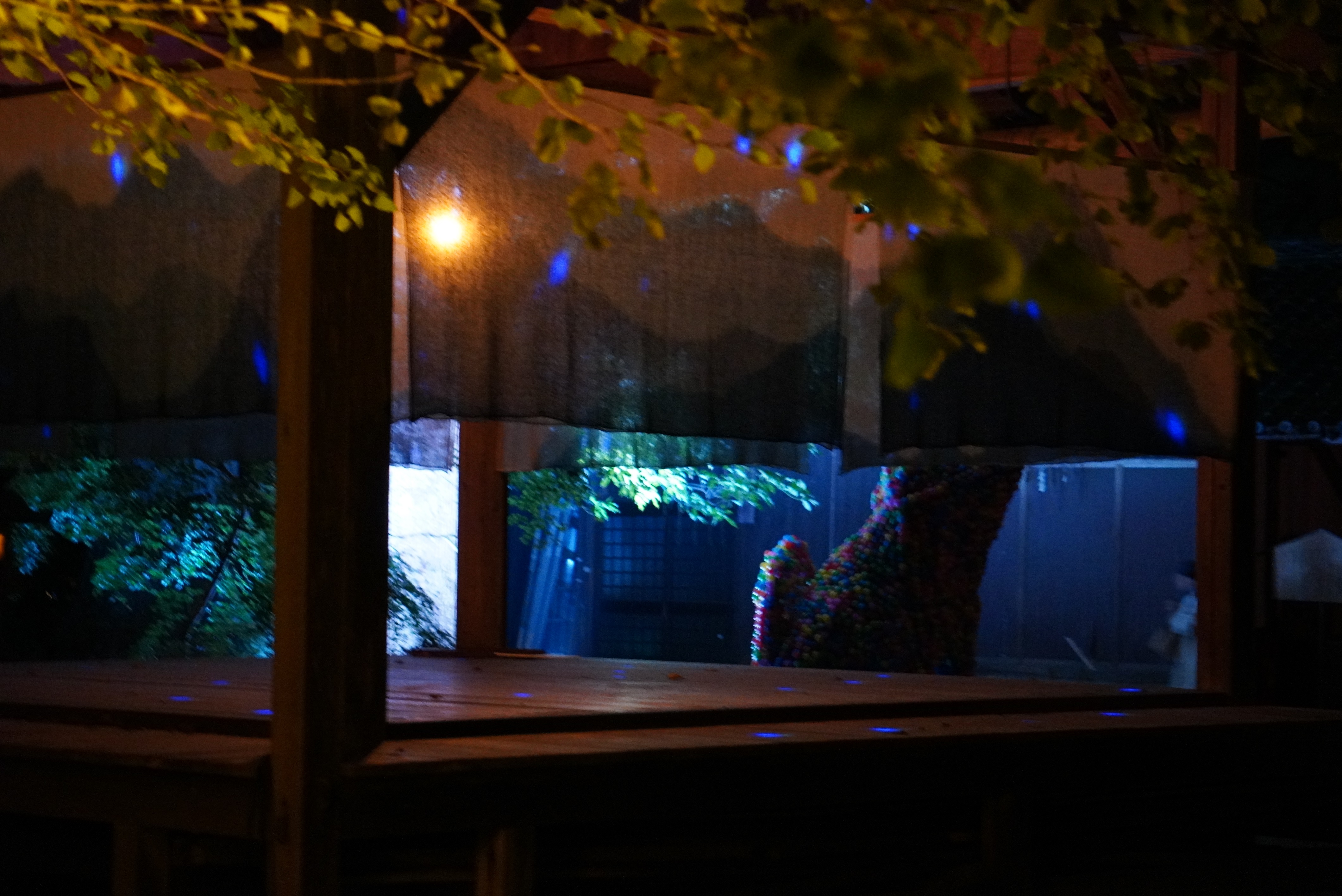 ライトアップされた神社の様子1