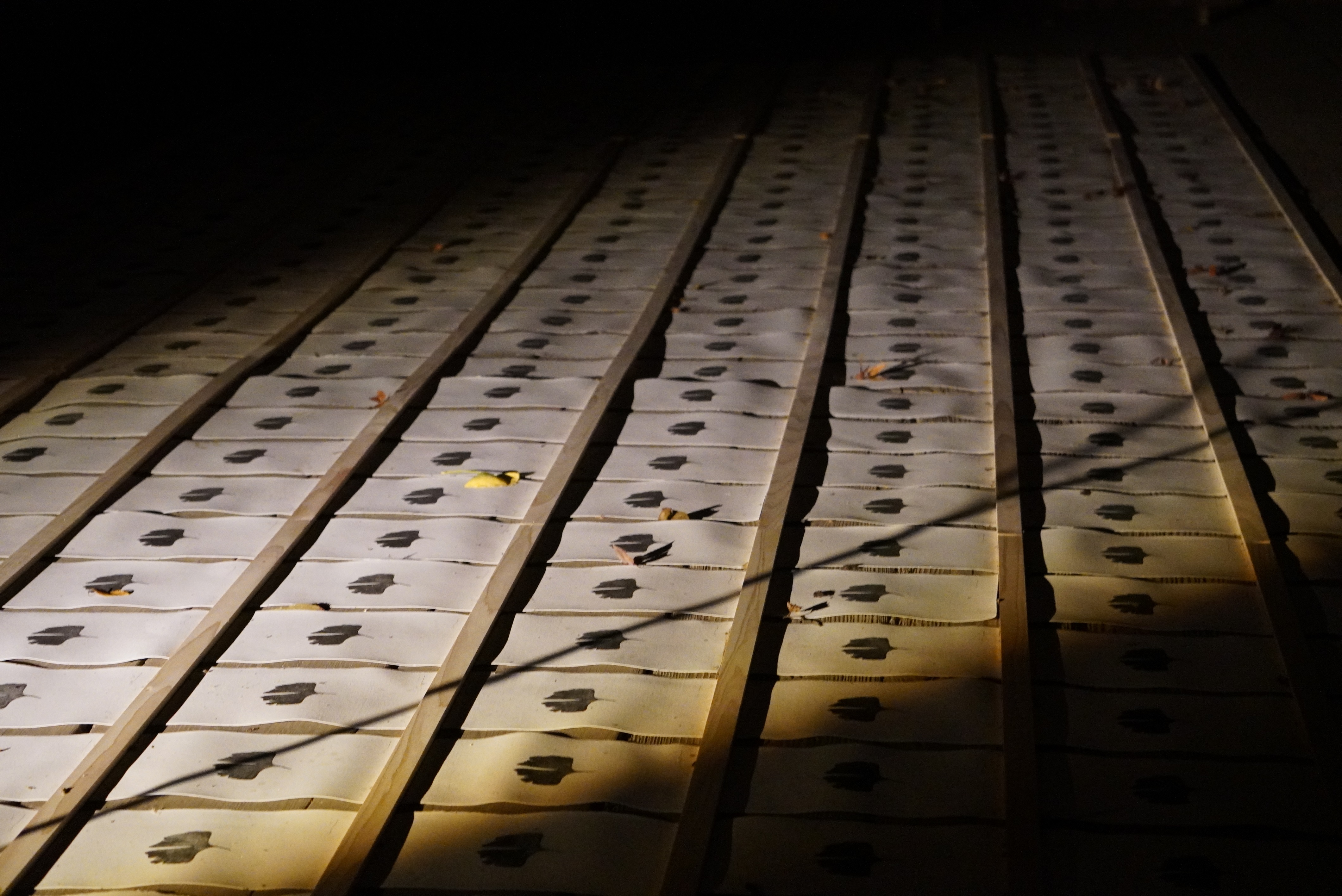 ライトアップされた作品6