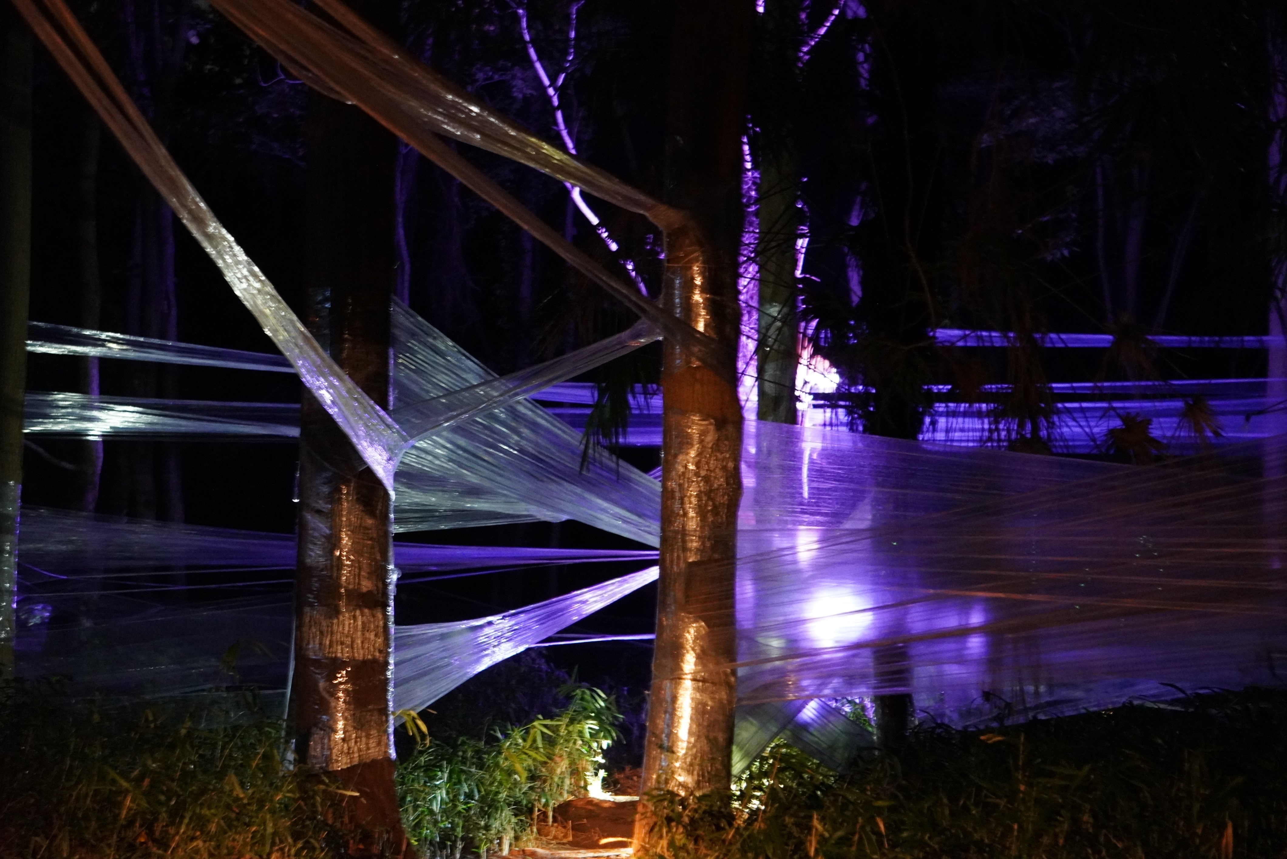 ライトアップされた龍の写真1