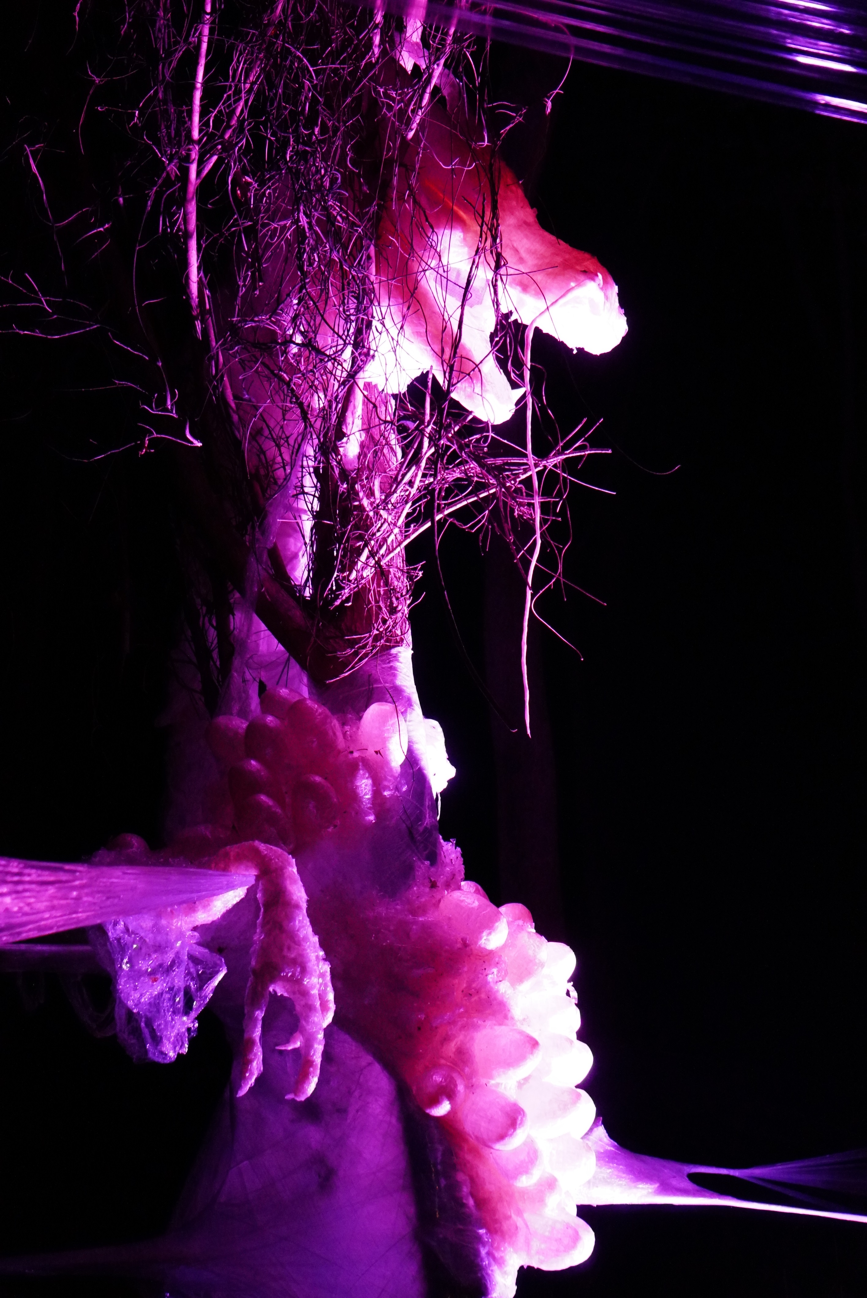 ライトアップされた龍の写真4