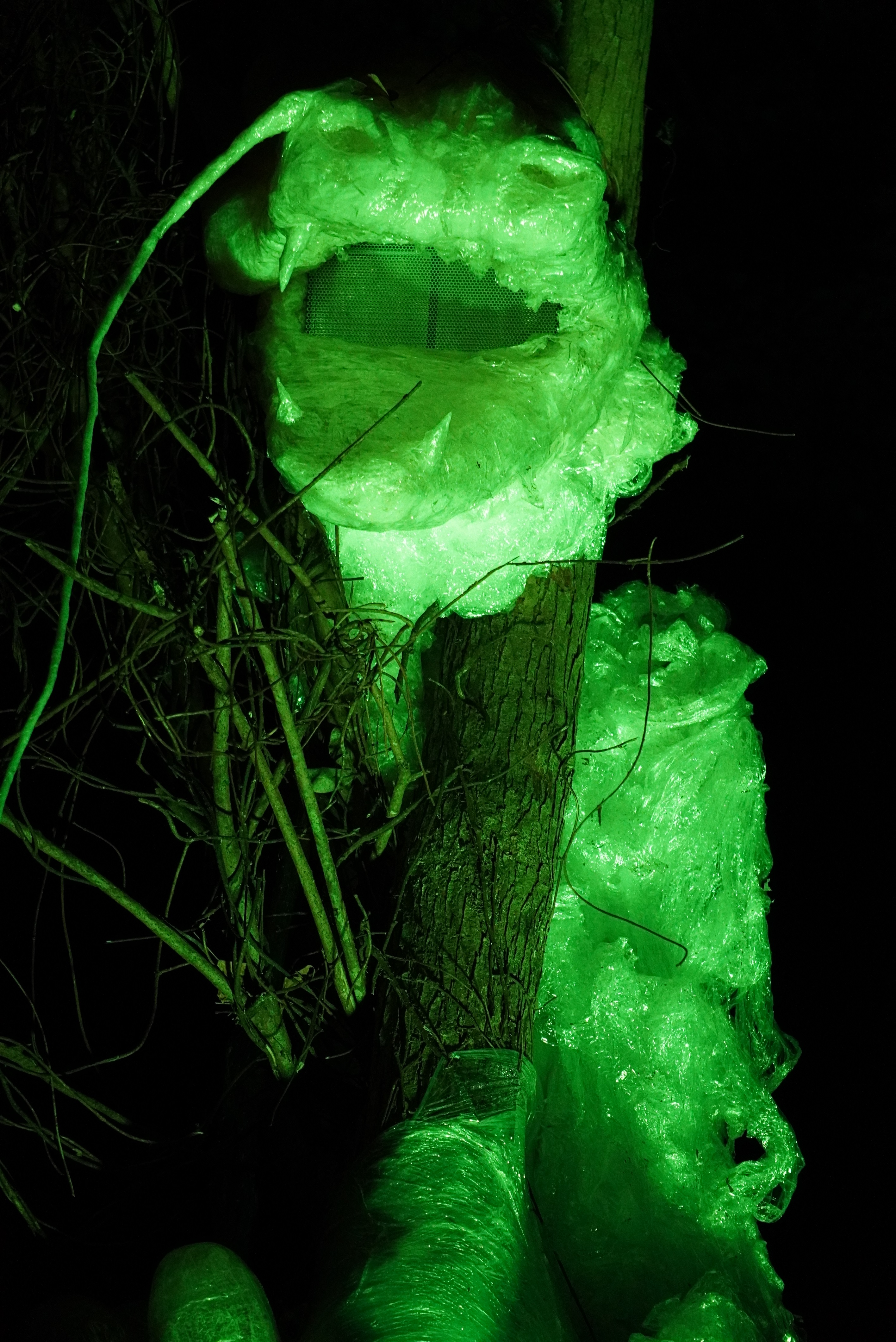 ライトアップされた龍の写真5