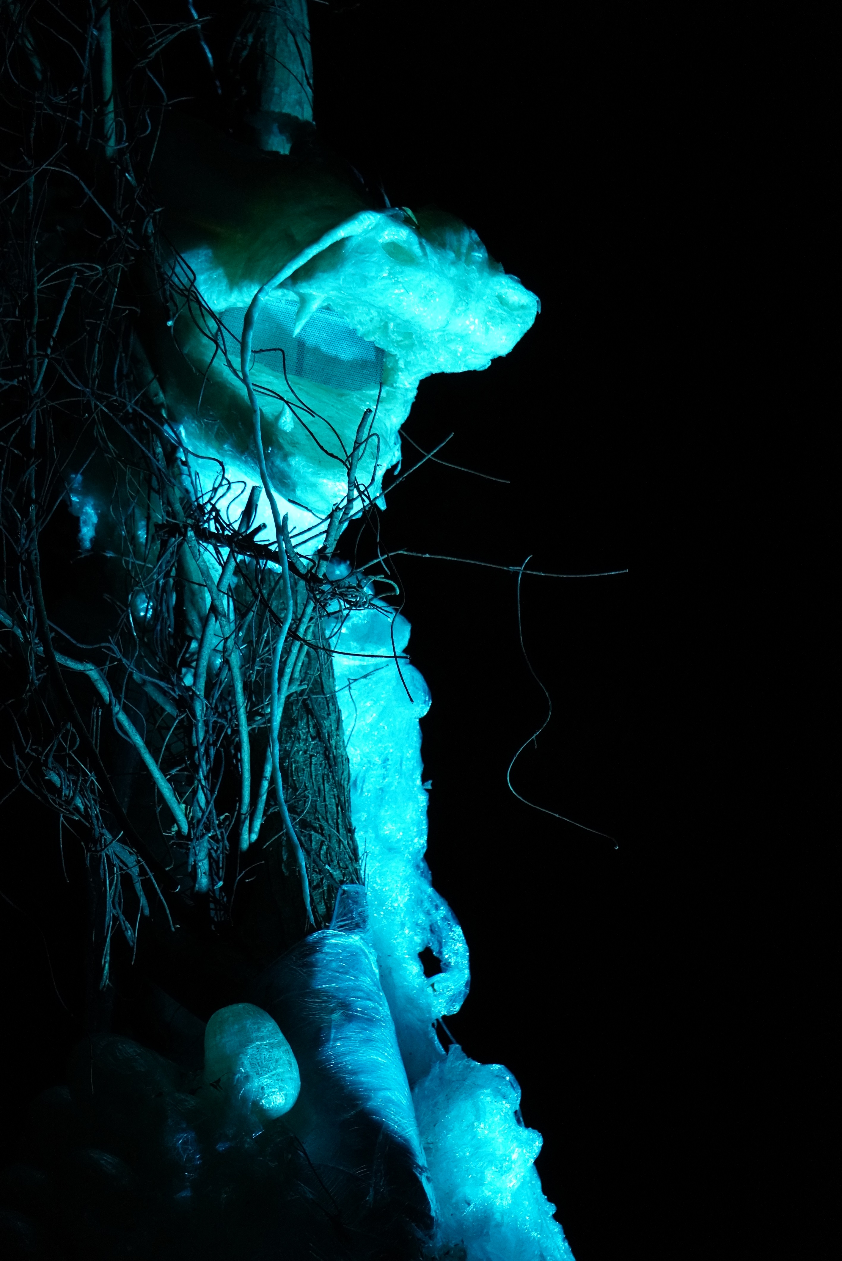 ライトアップされた龍の写真6