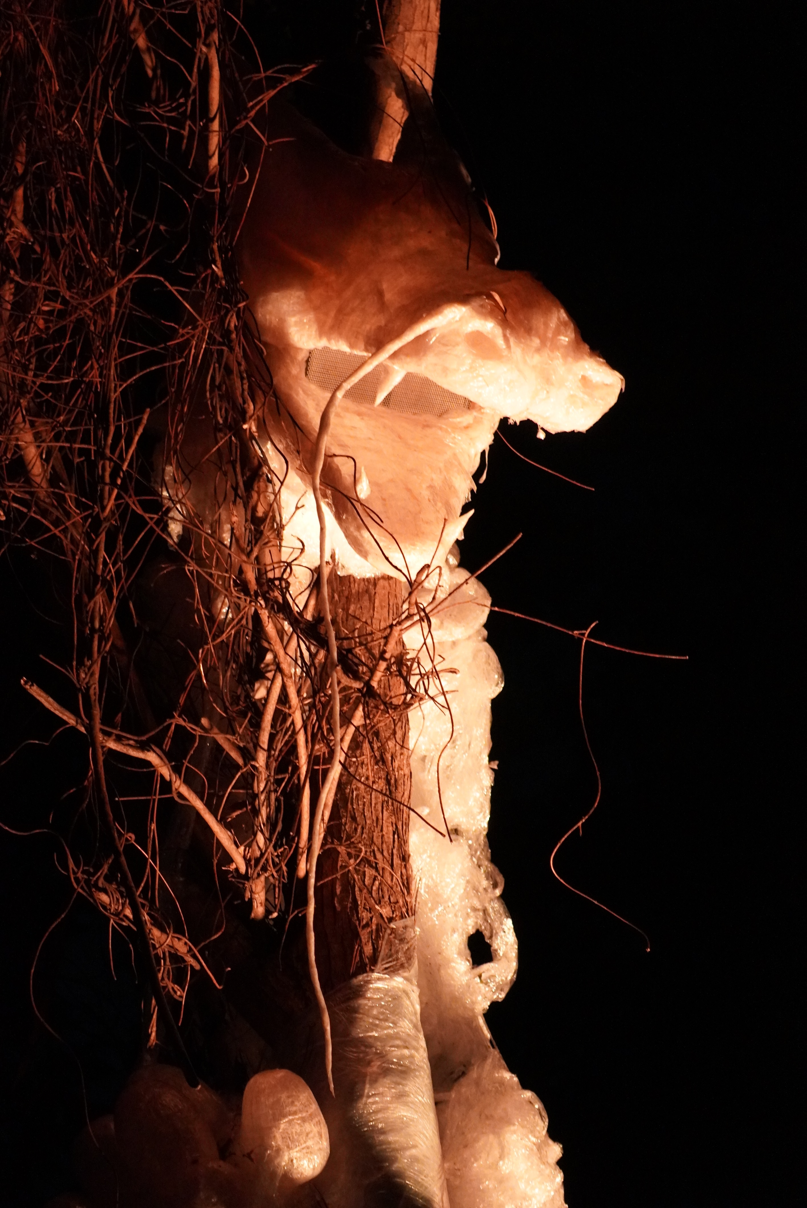 ライトアップされた龍の写真7