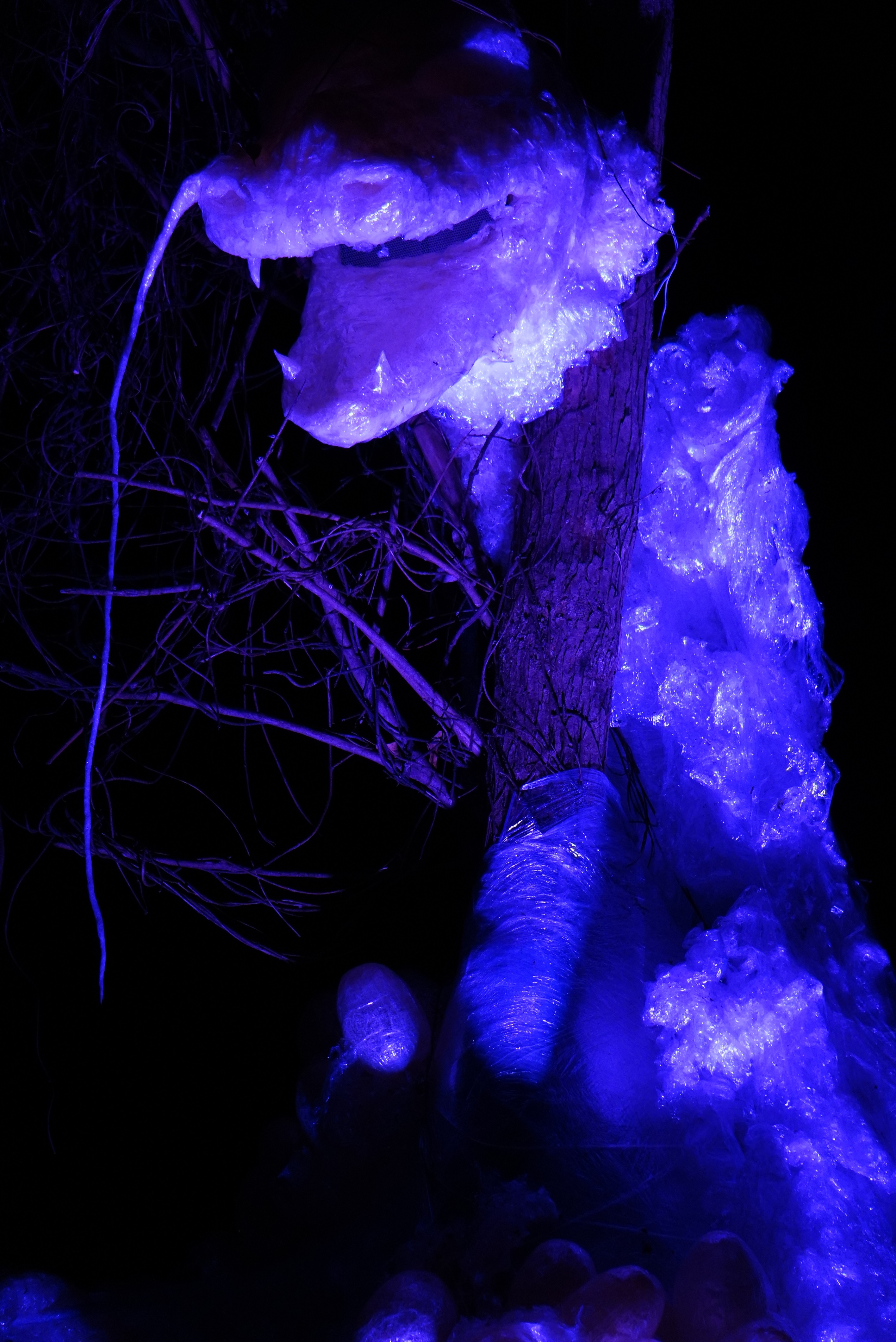 ライトアップされた龍の写真8