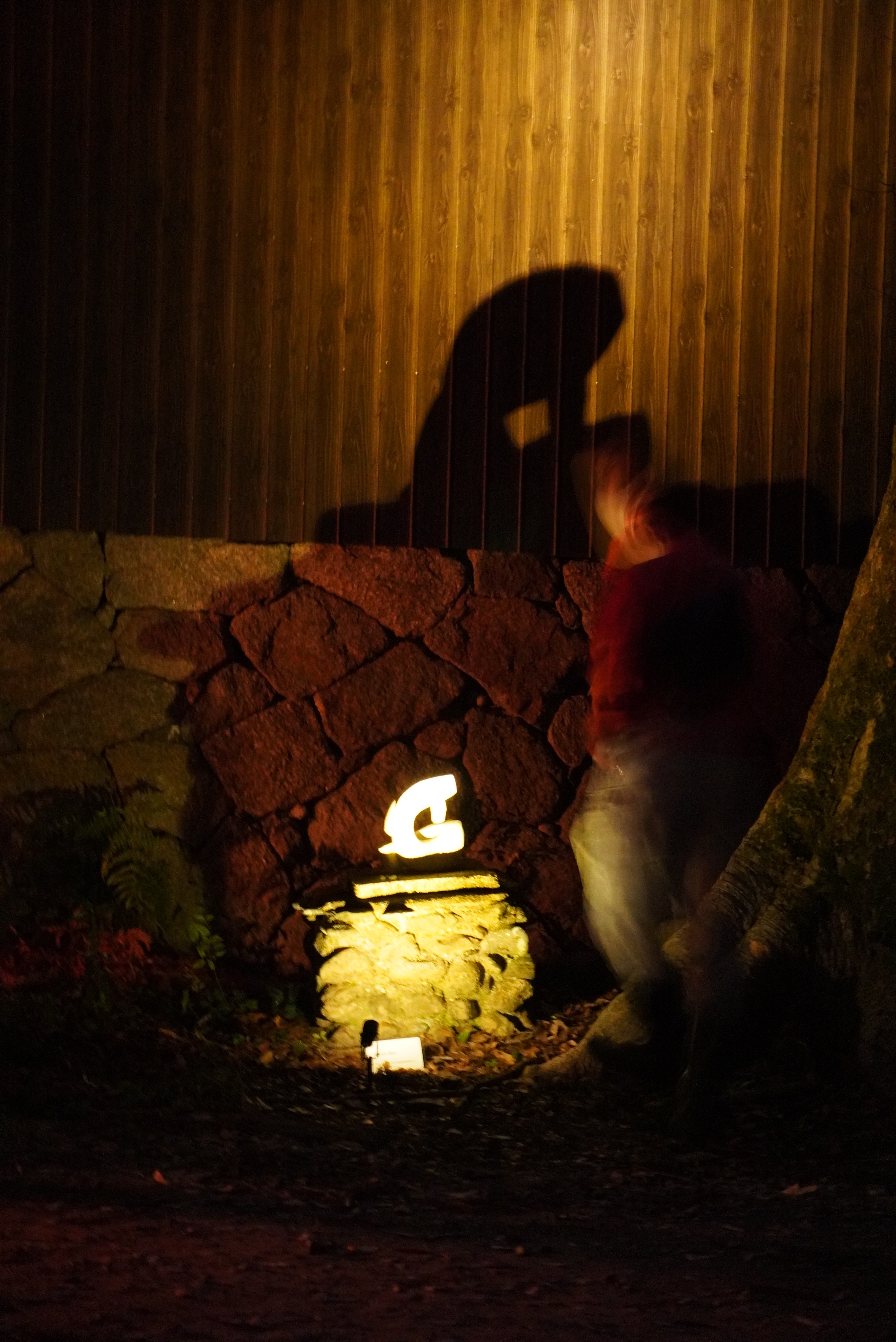 Kyuichi Satoさんの作品2