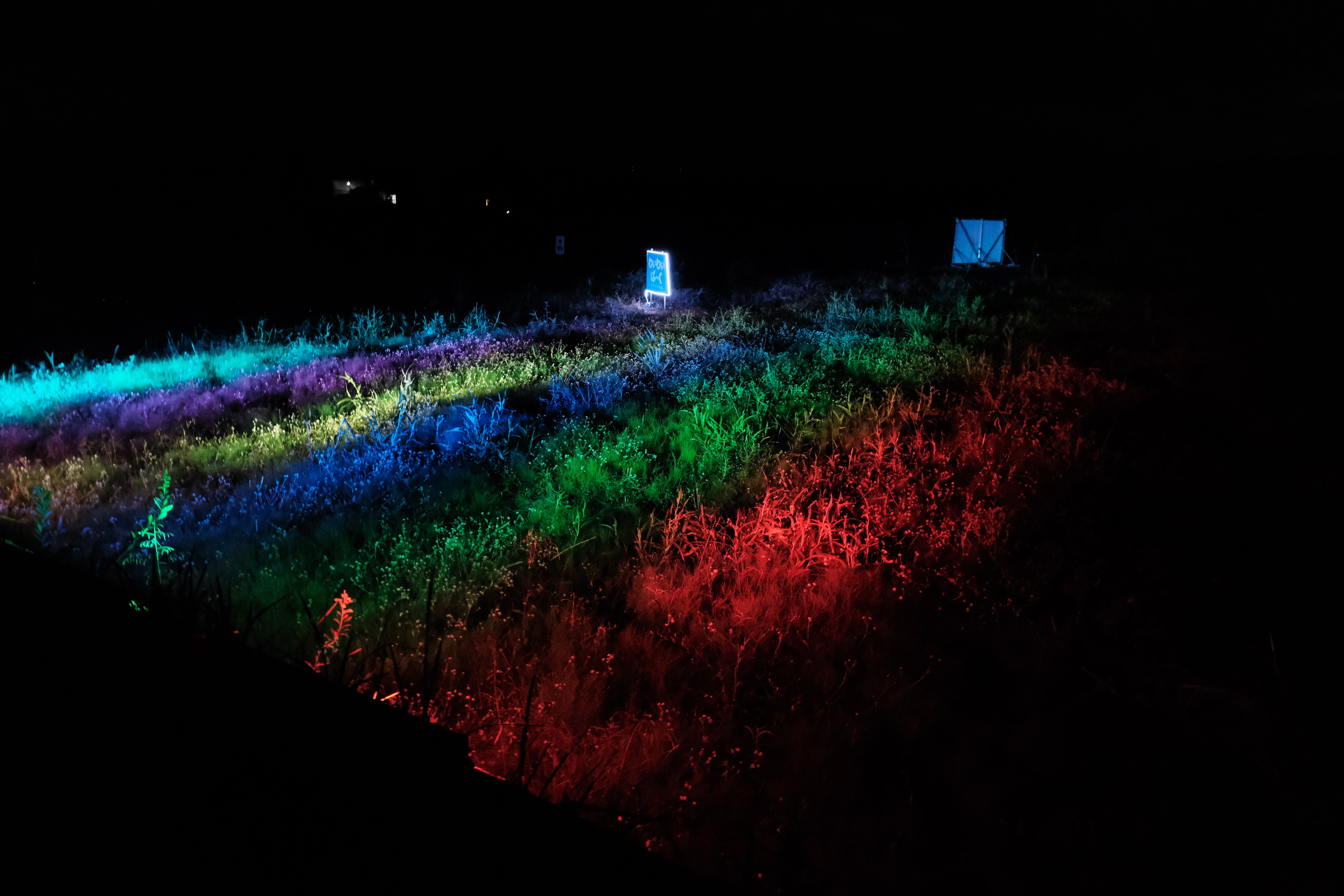 ナイトツアーの様子5