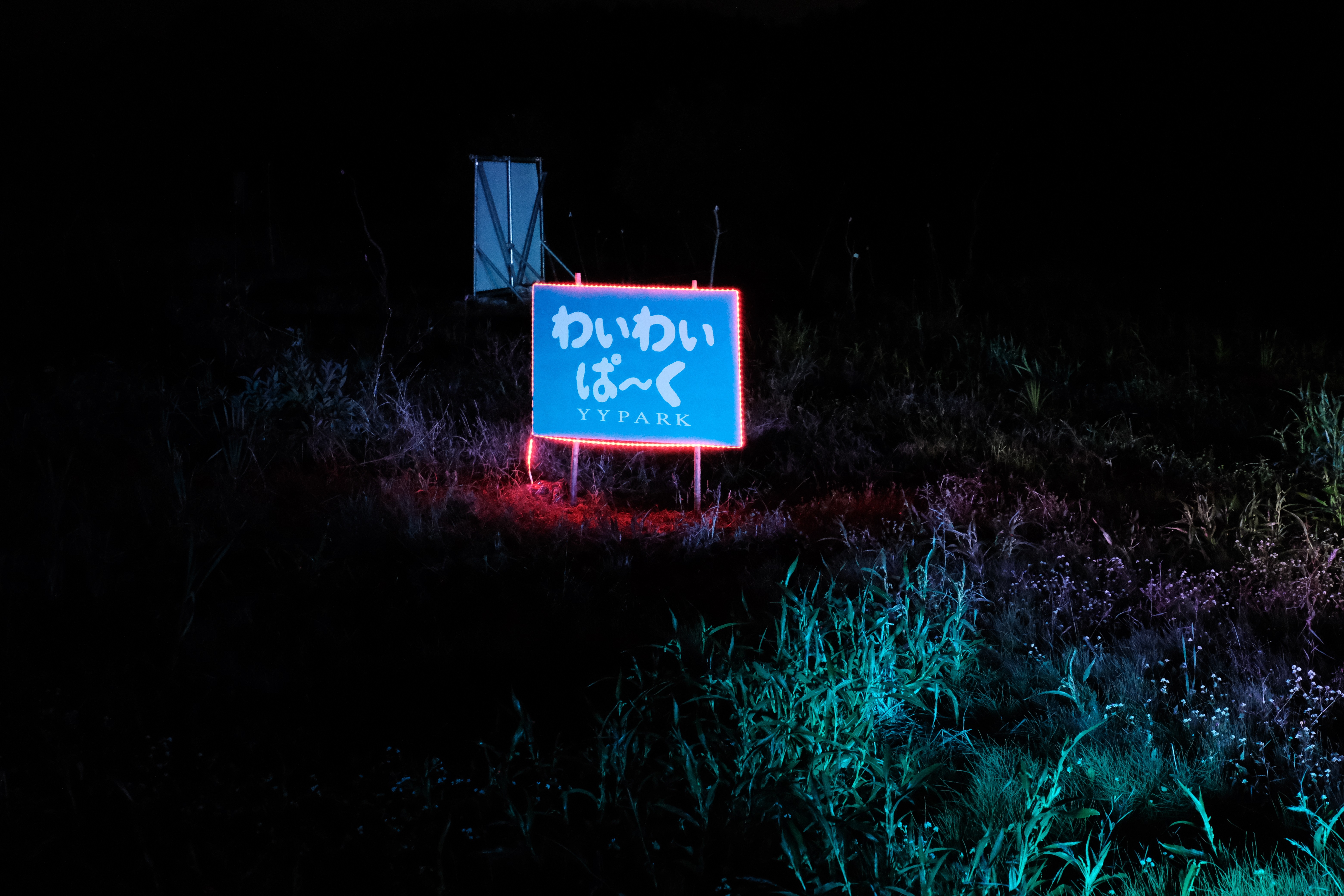 ナイトツアーの様子6