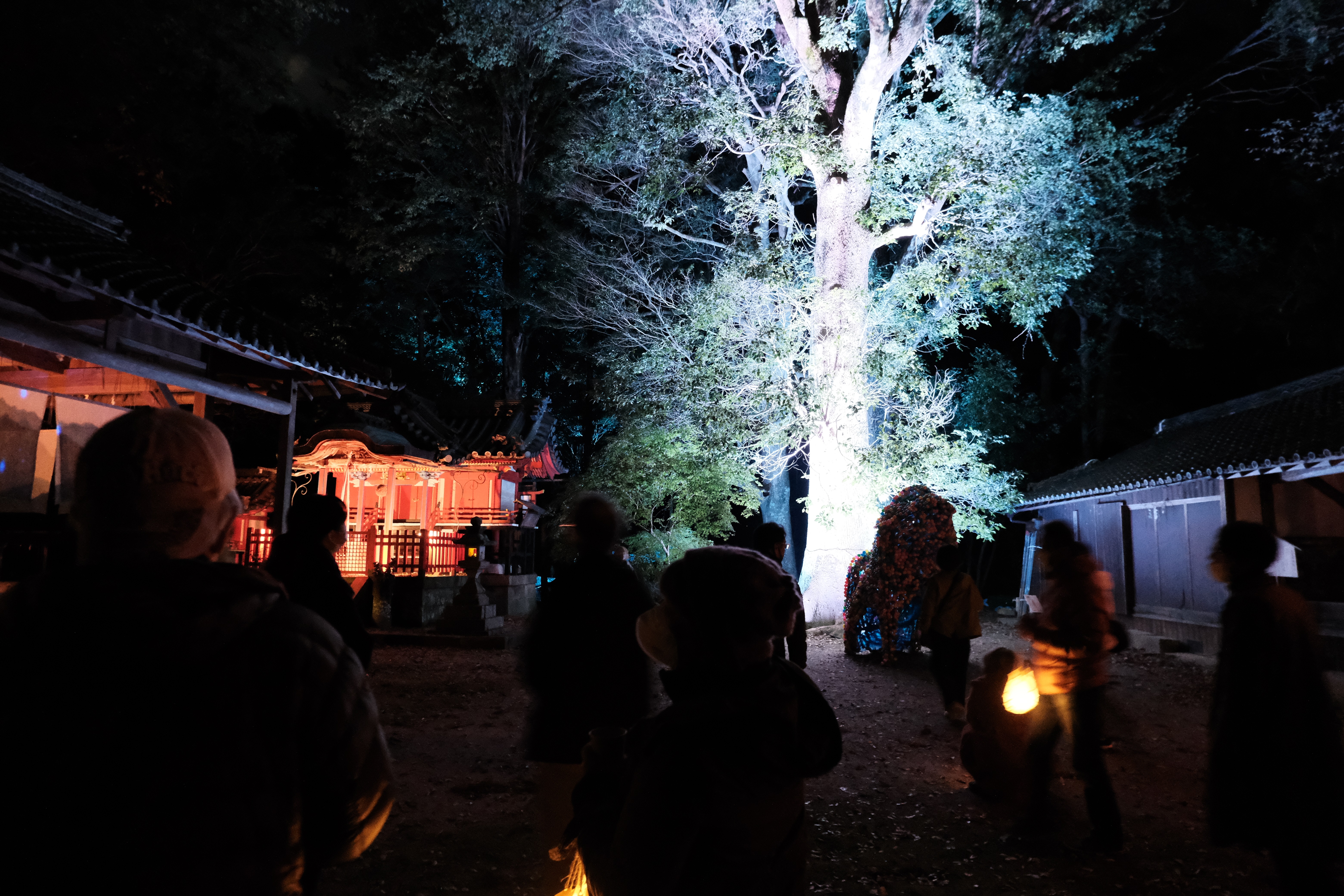 ライトアップされた神社の様子2