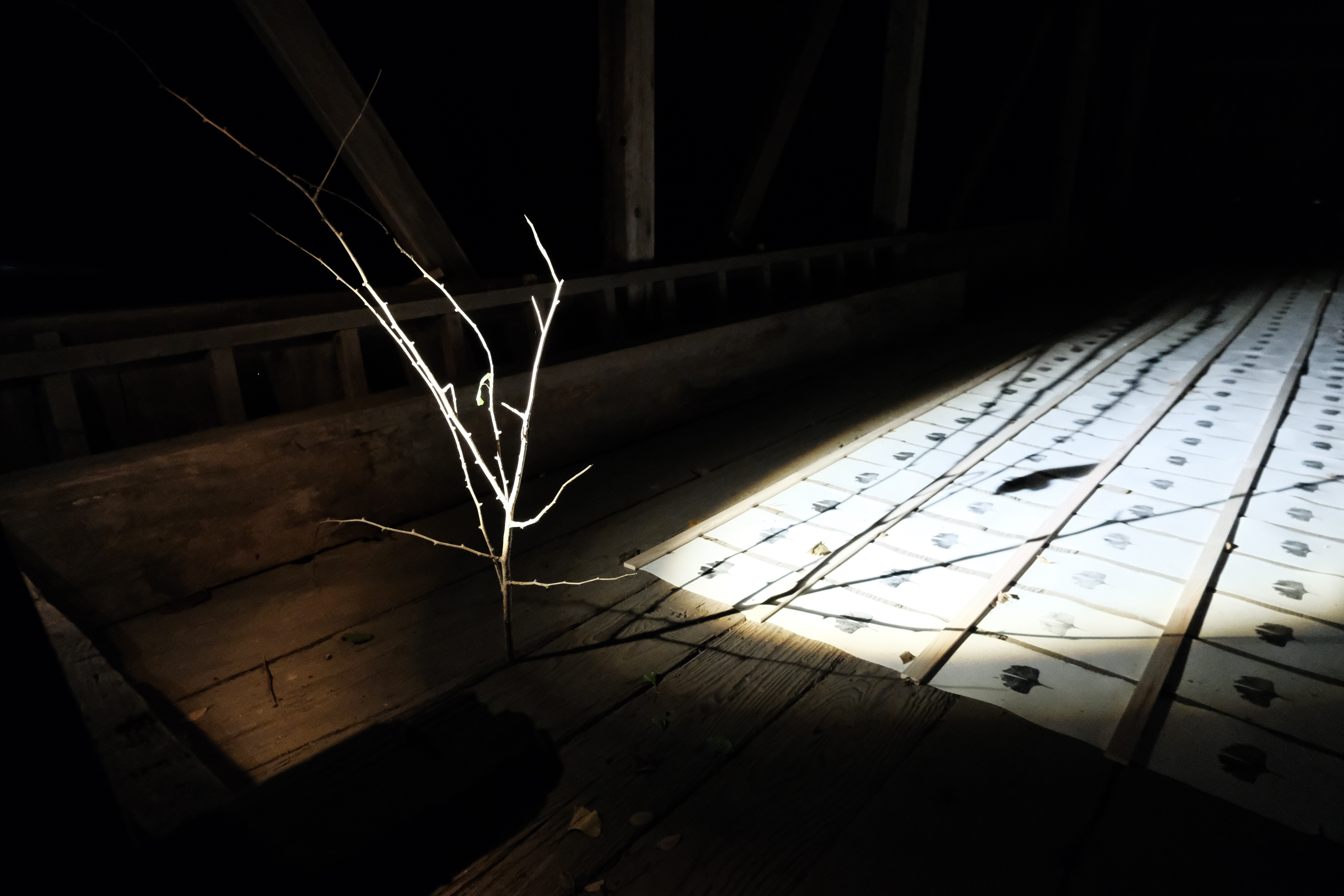 ライトアップされた作品7