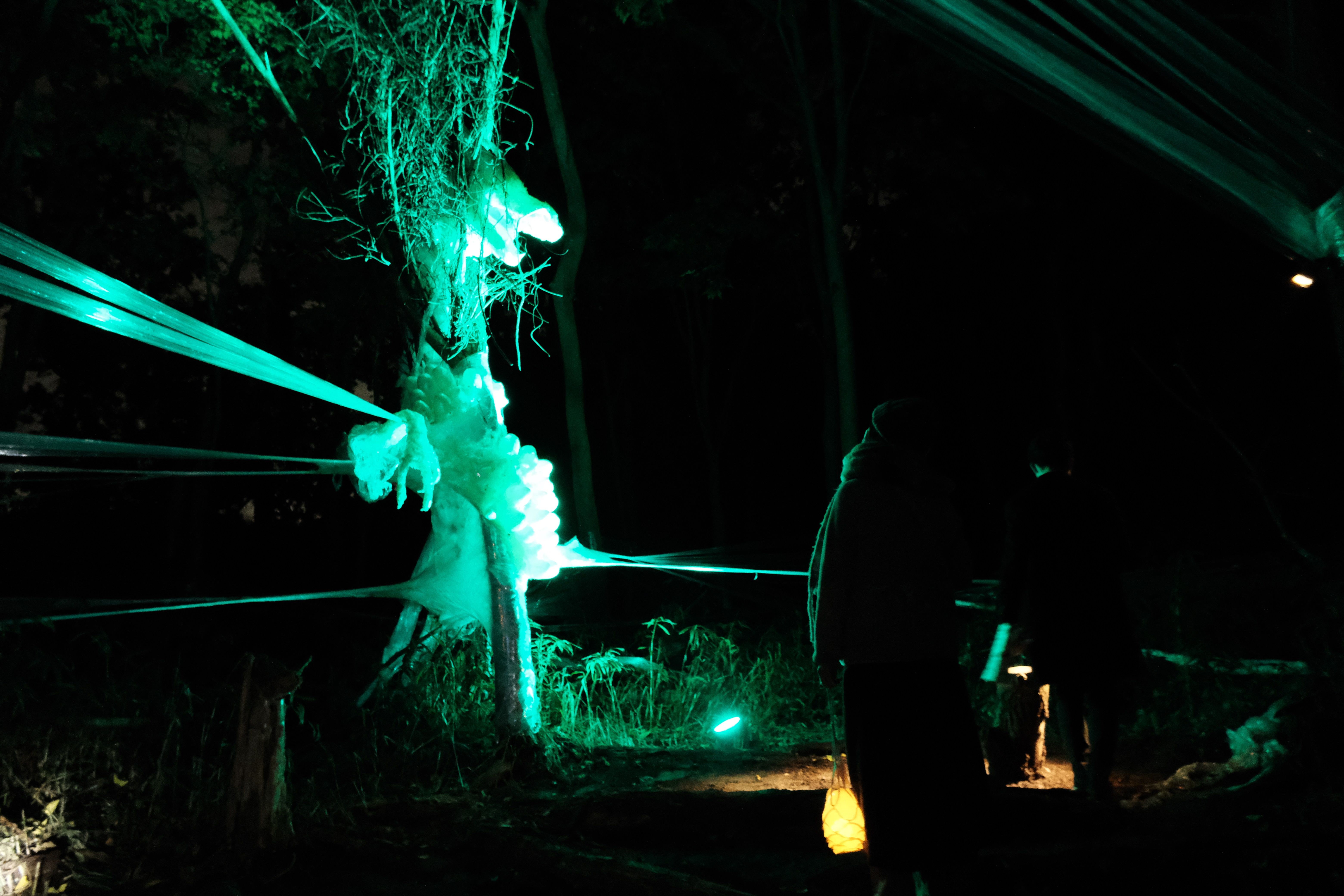 ライトアップされた龍の写真2