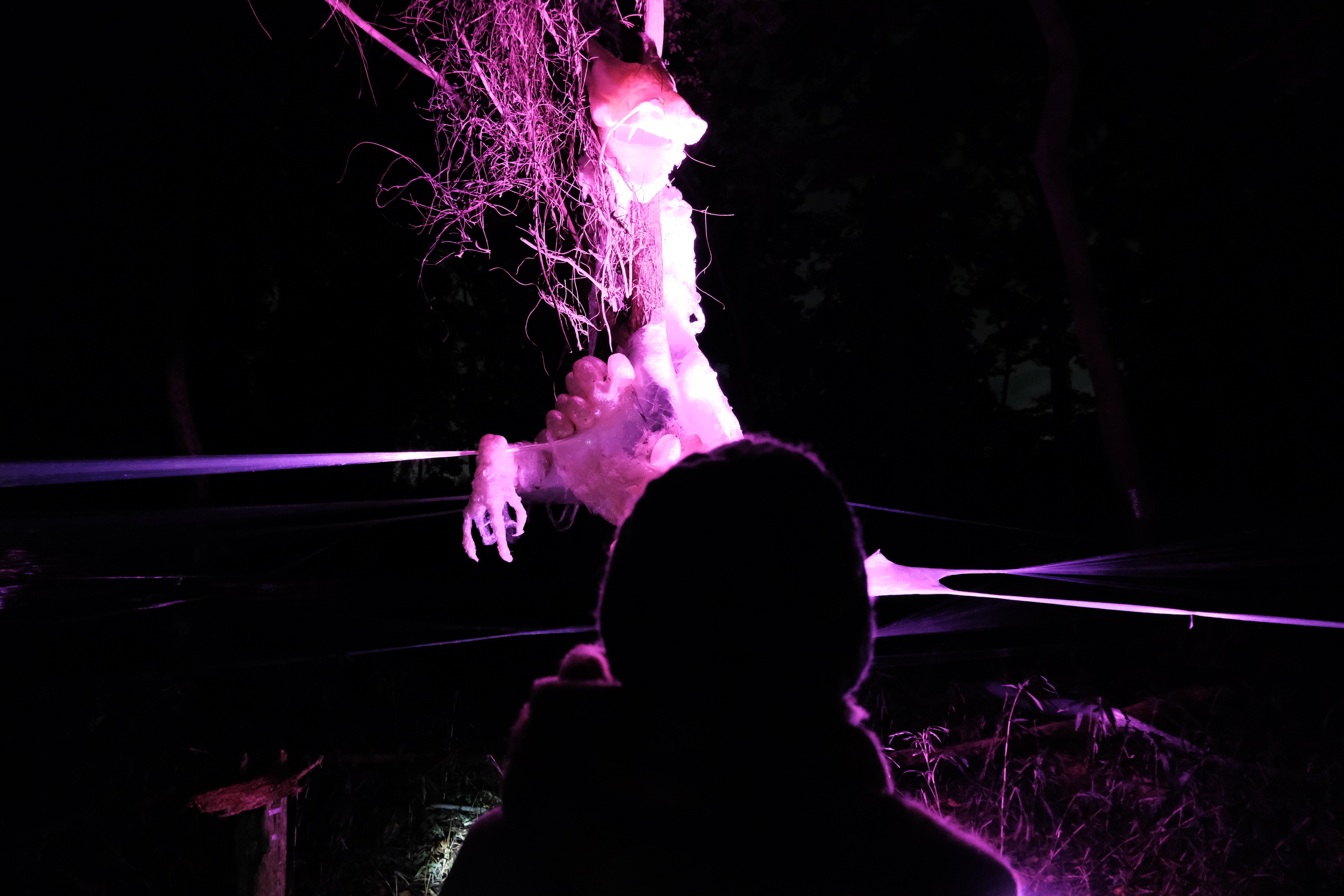 ライトアップされた龍の写真3