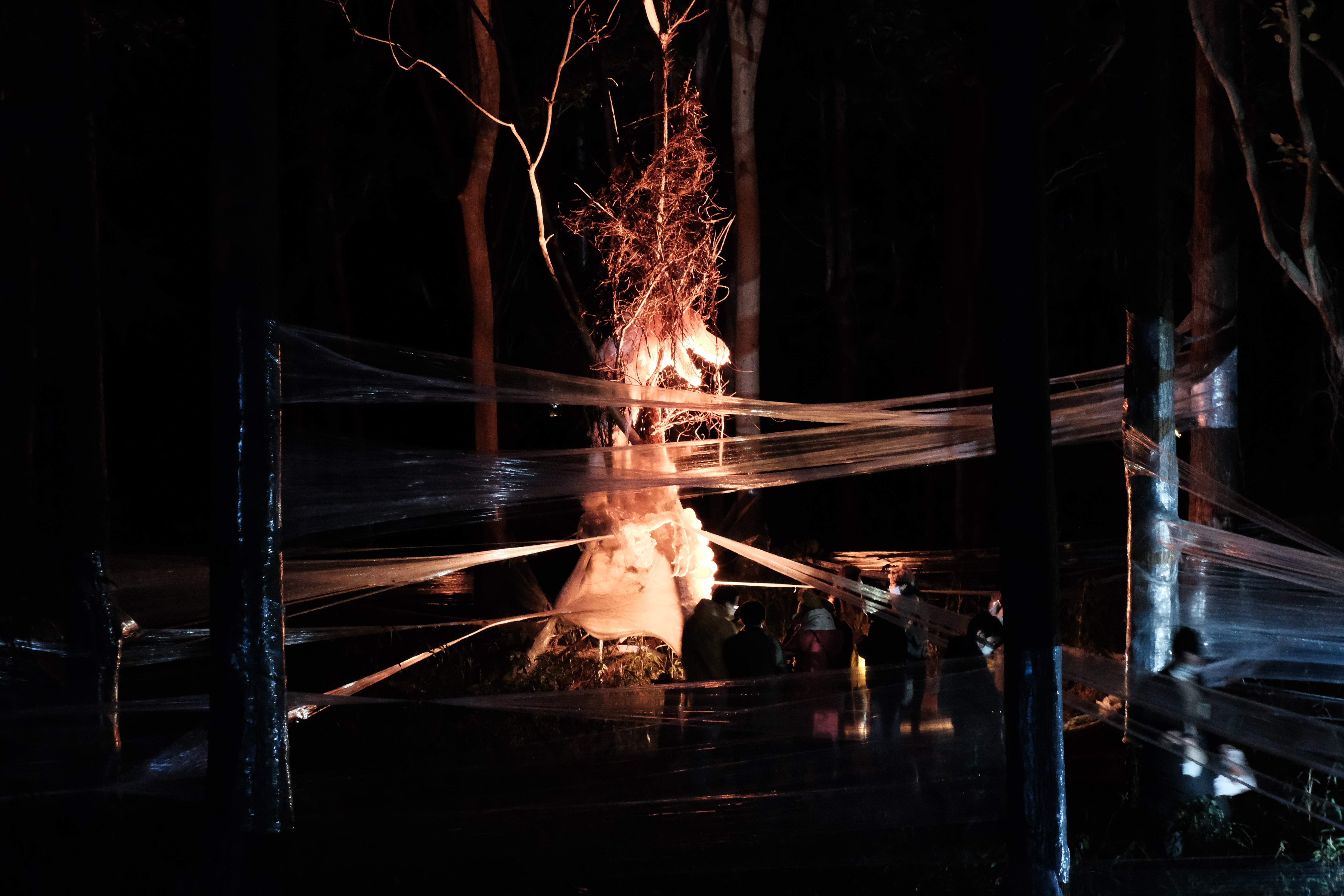 ライトアップされた龍の写真11