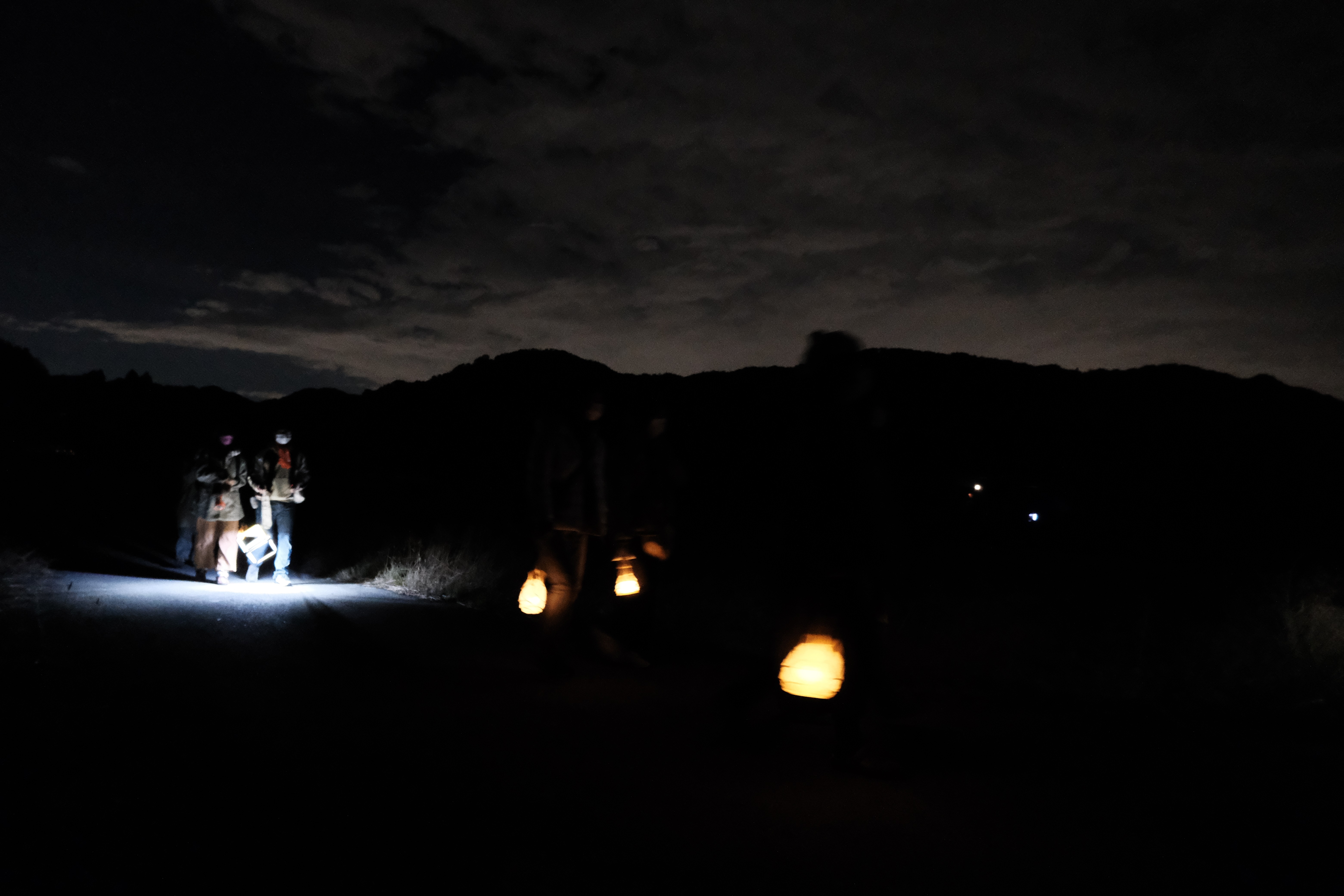 ナイトツアーの様子2