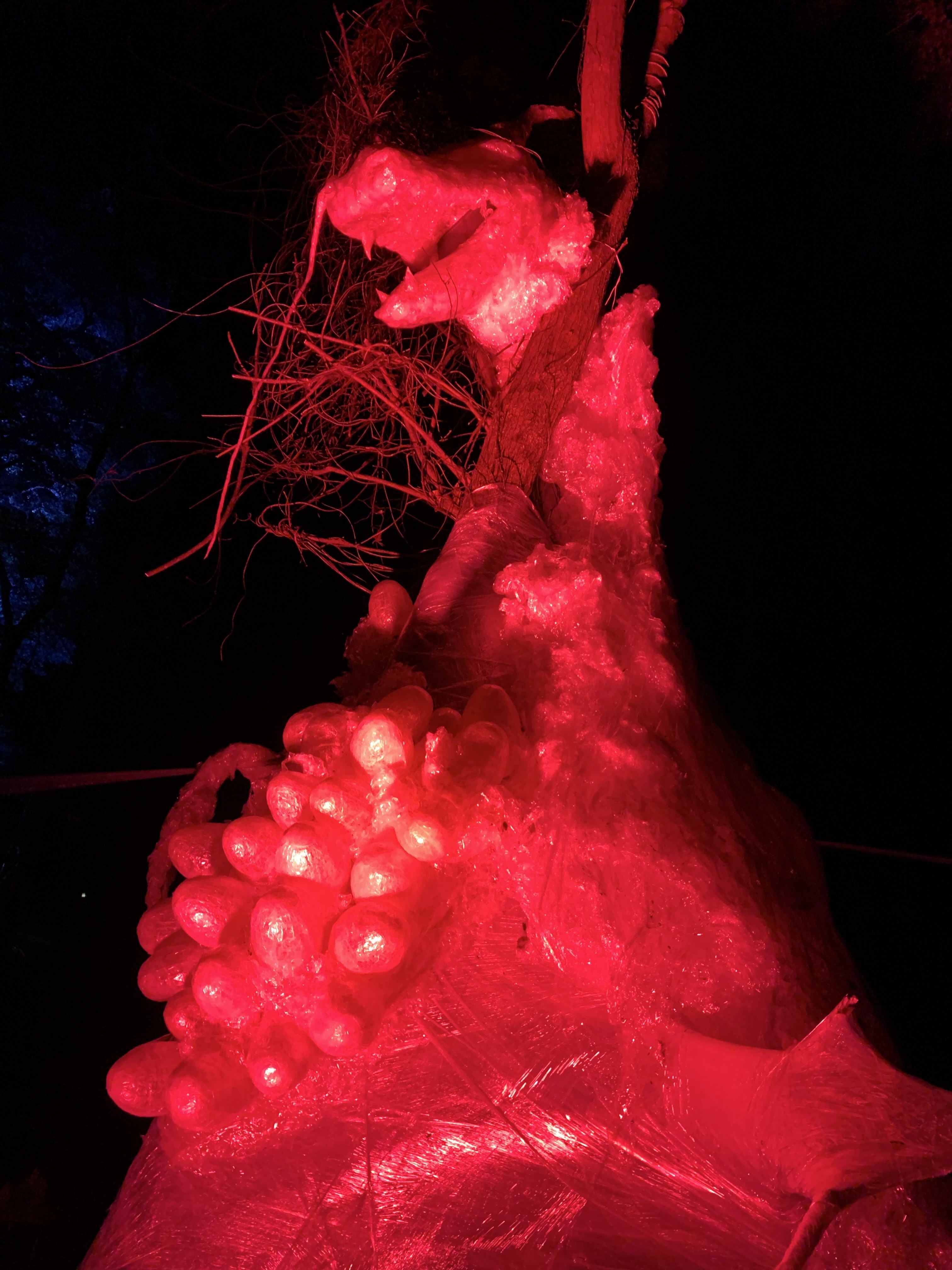 ライトアップされた龍の写真9