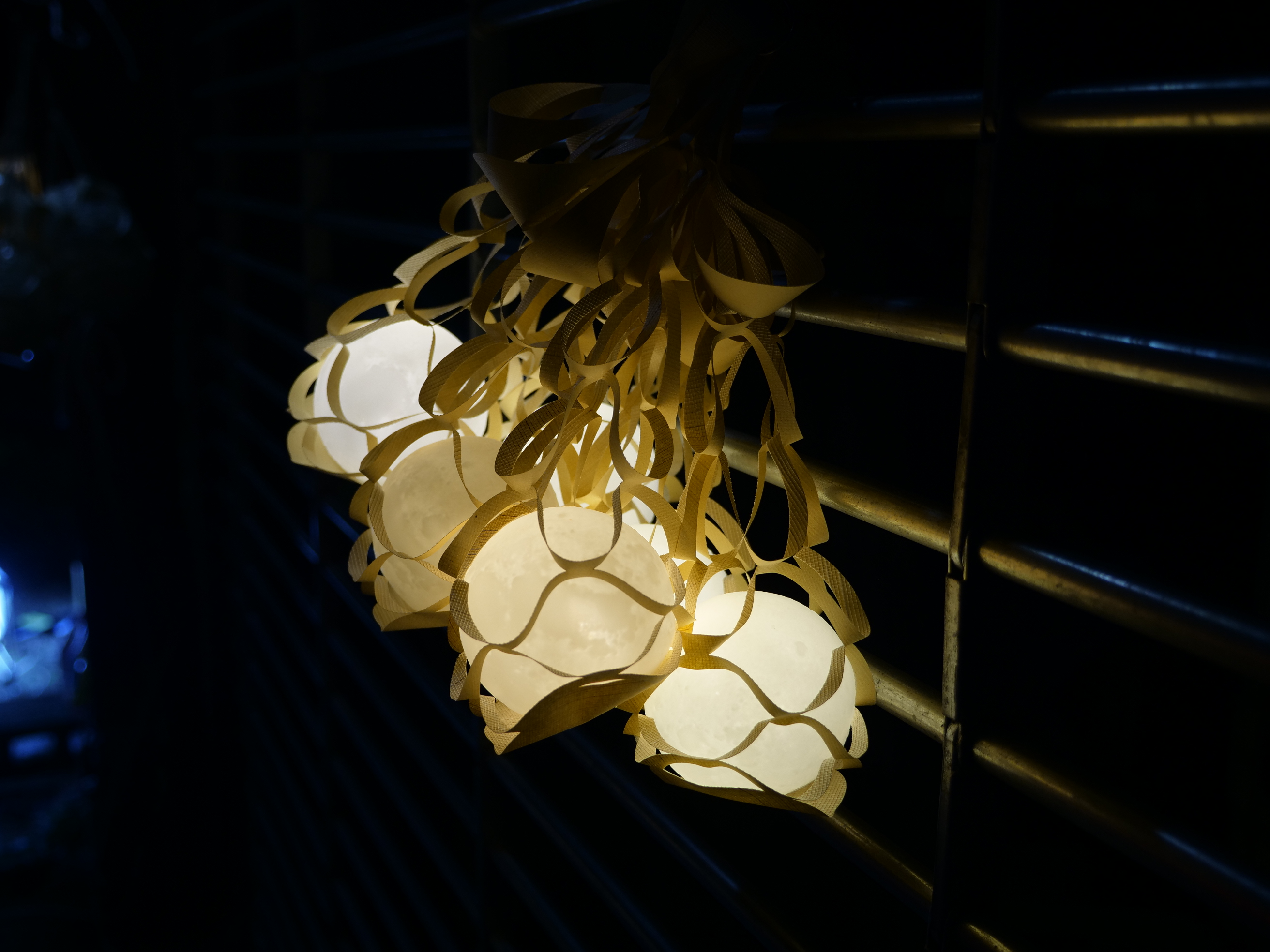 ナイトツアーの様子1