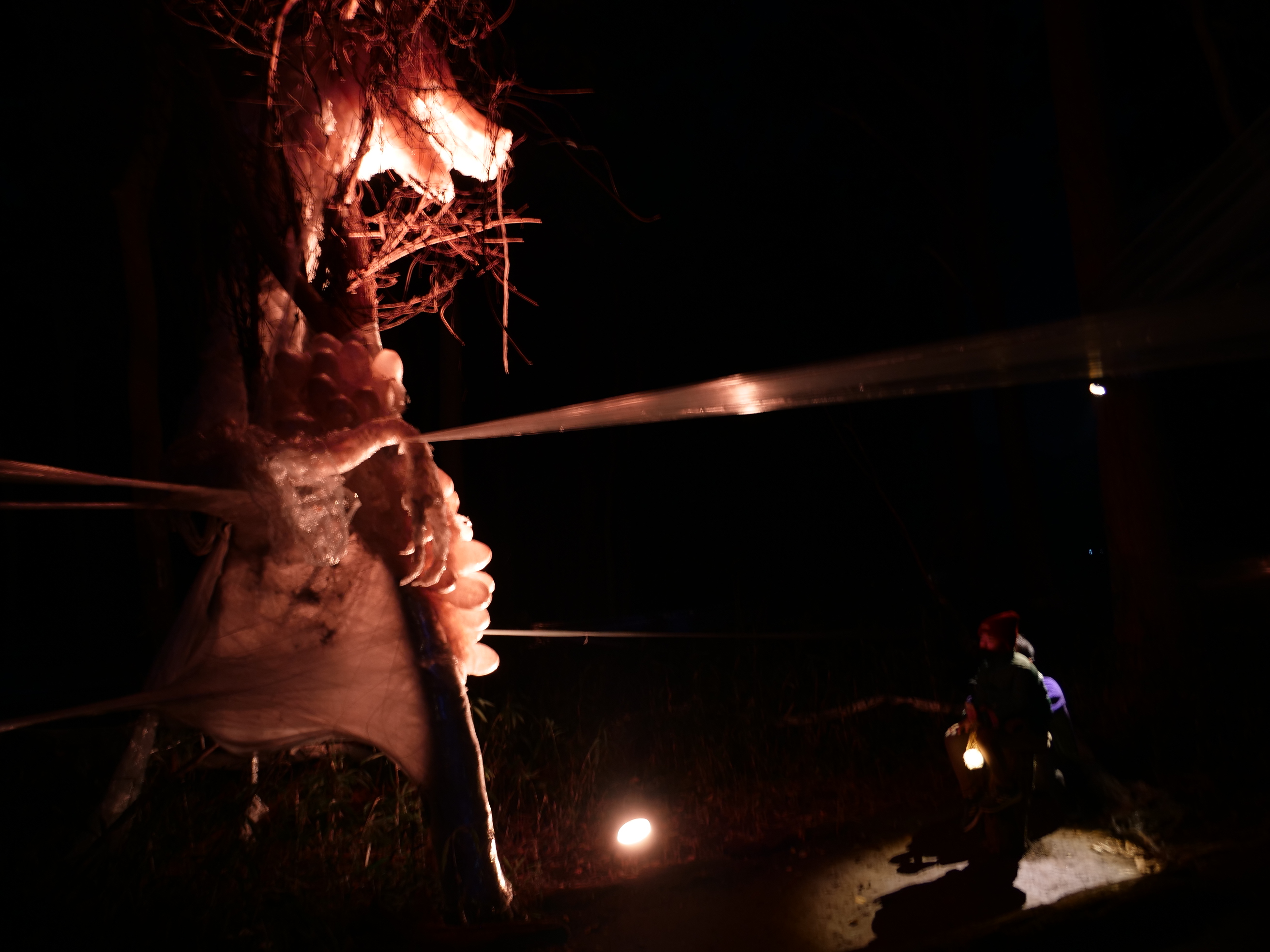 ライトアップされた龍の写真10