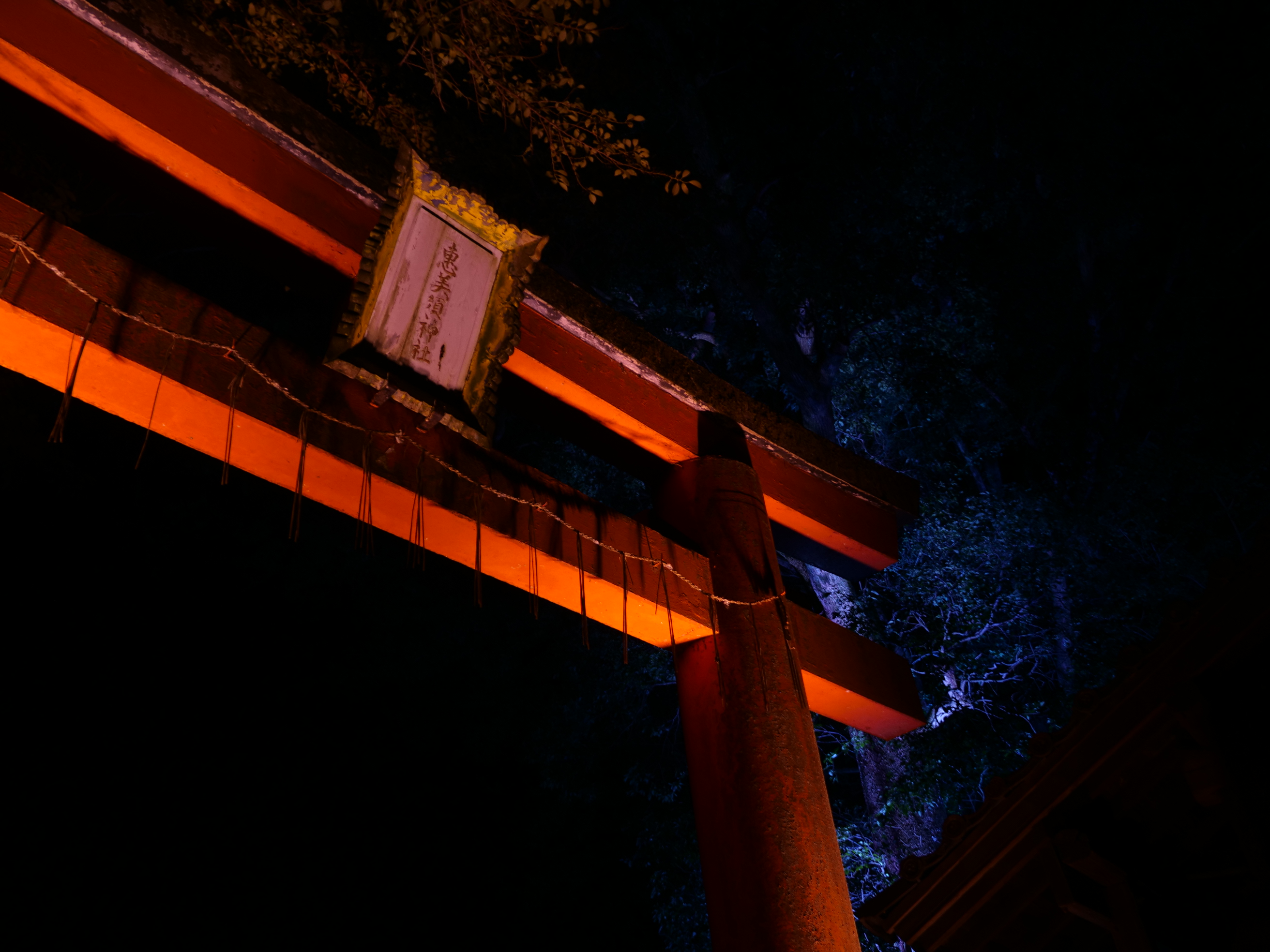 ライトアップされた鳥居の写真