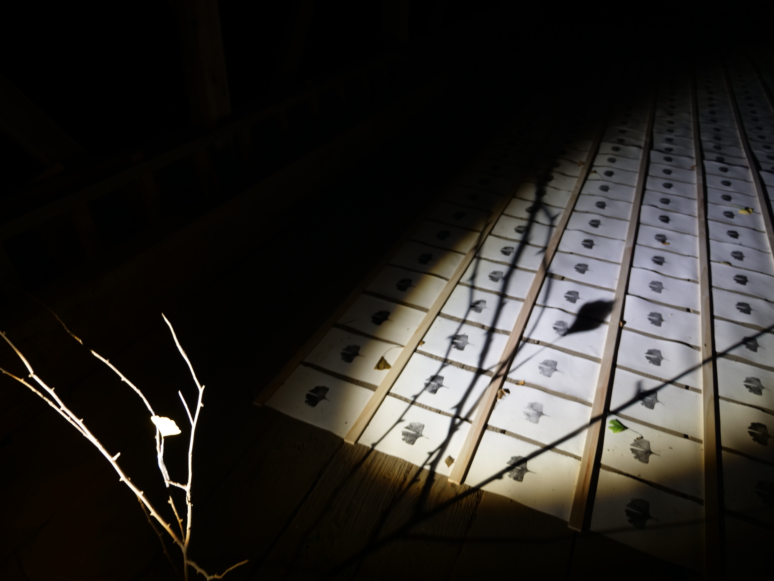 ライトアップされた作品8