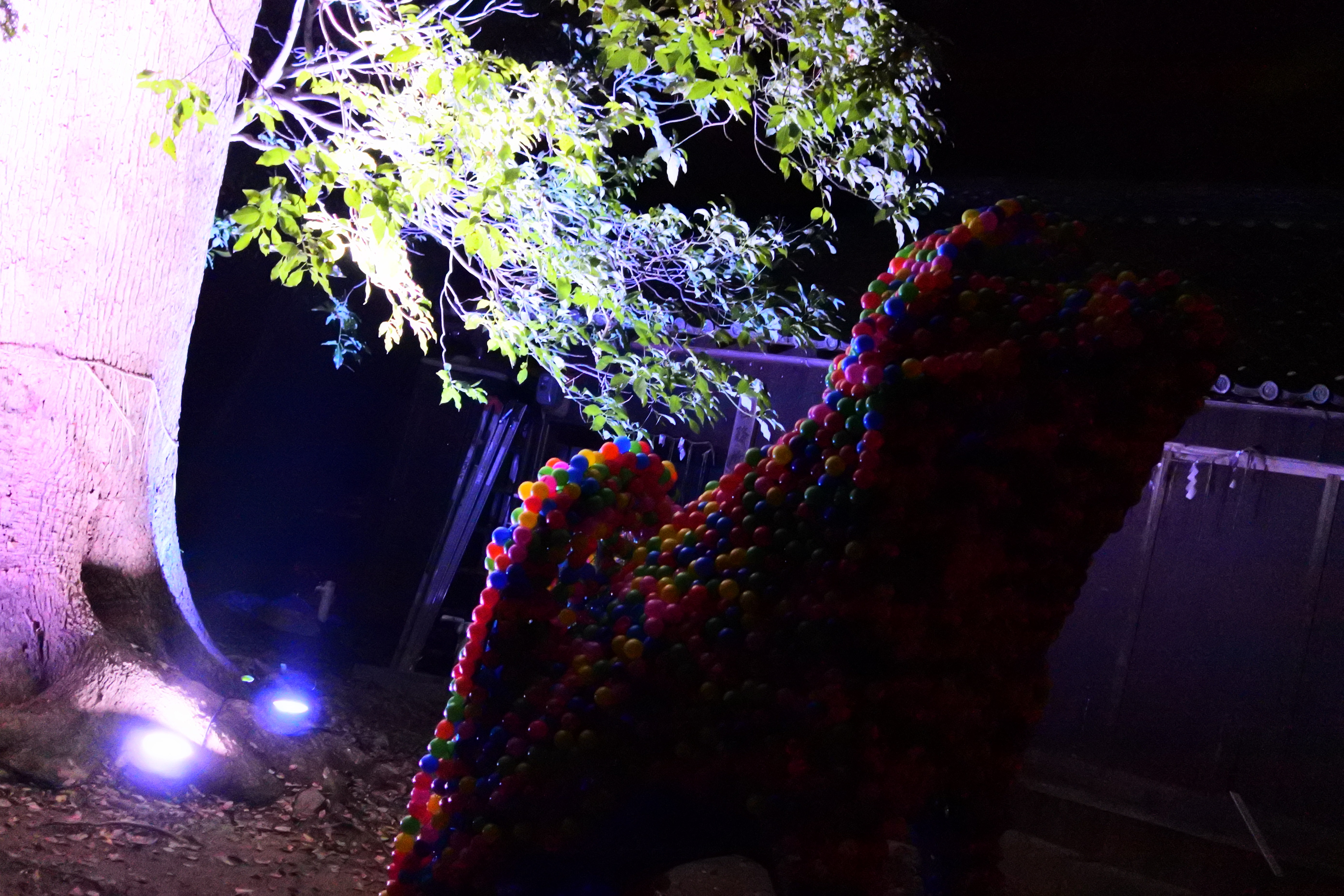 ライトアップされた作品5