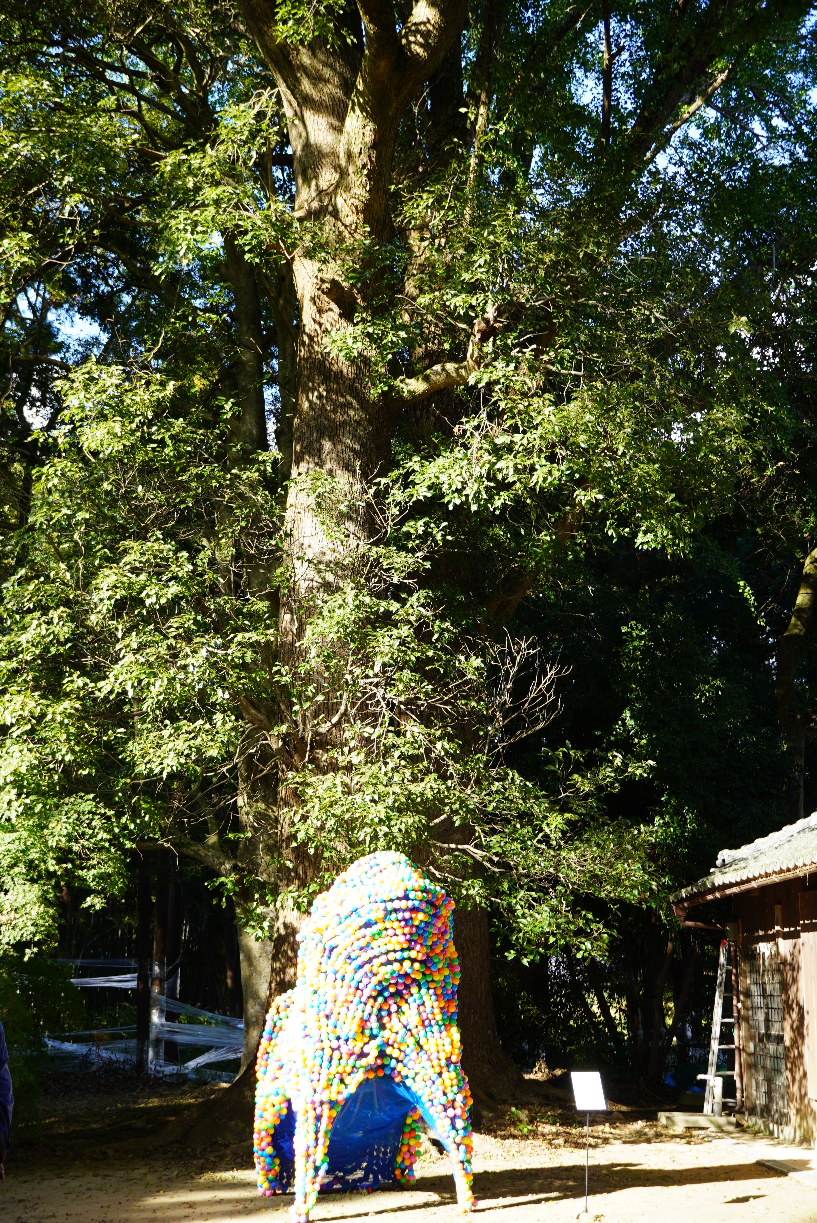 神戸市立科学技術高等学校さんの作品4