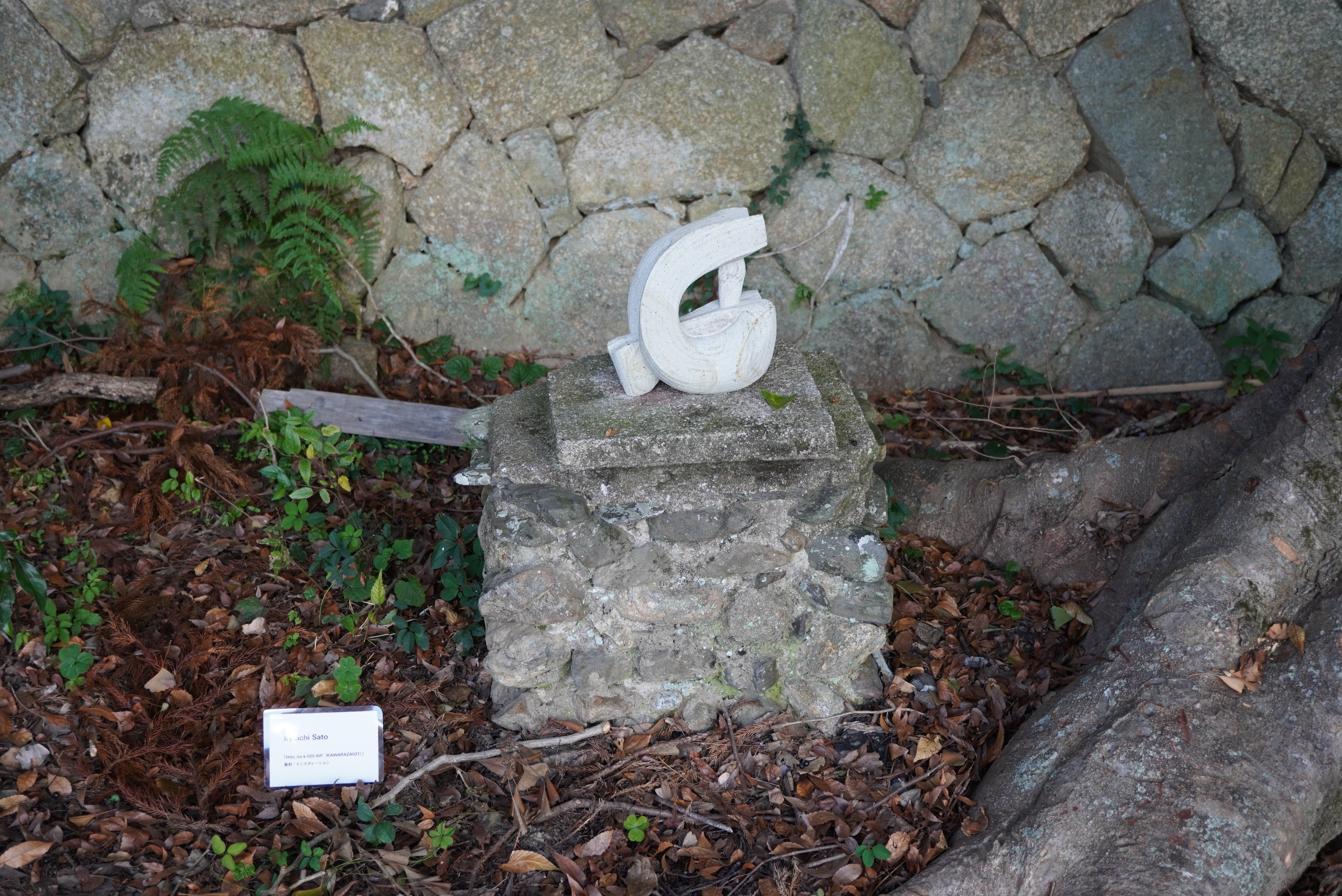 Kyuichi Satoさんの作品1