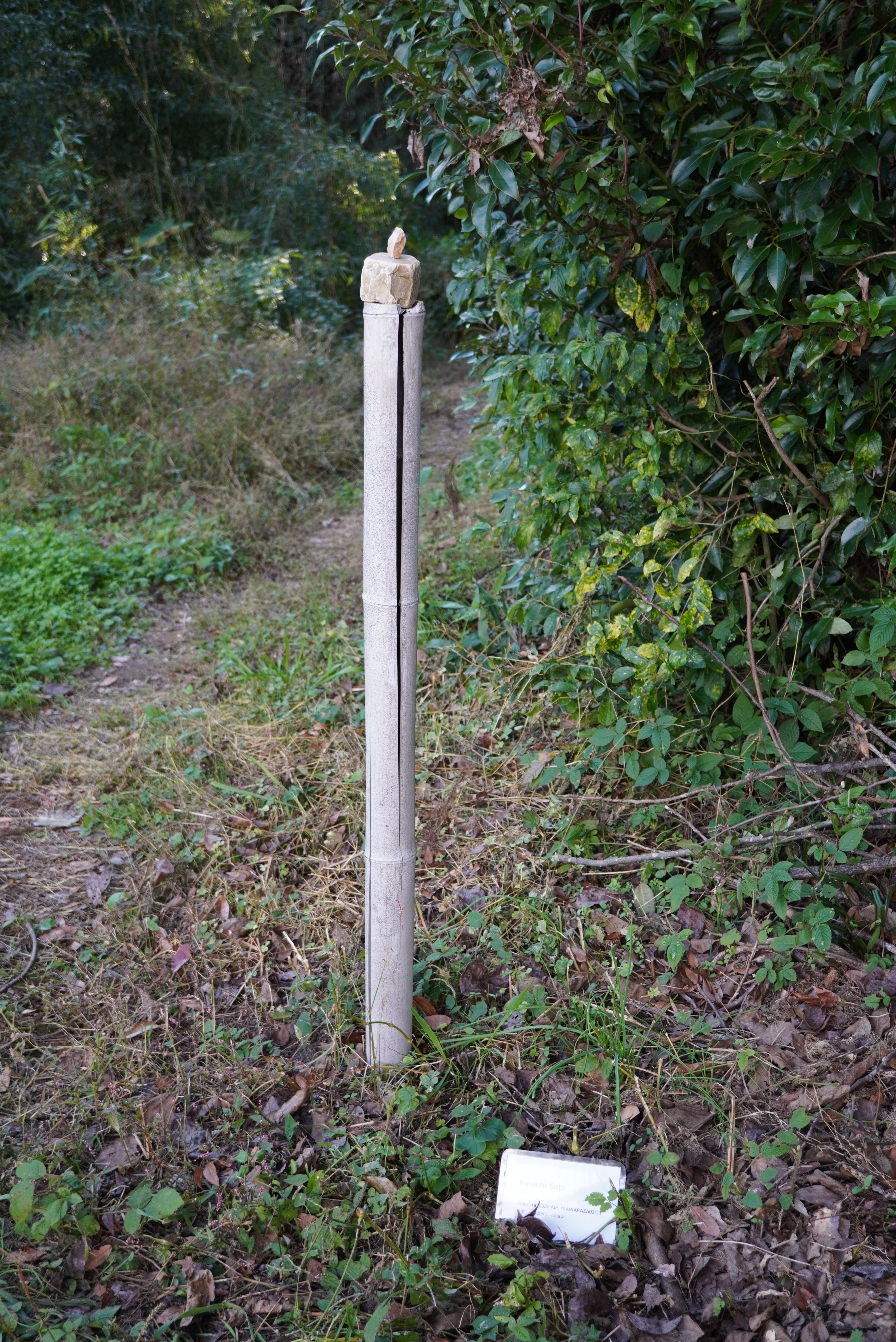 Kyuichi Satoさんの作品3