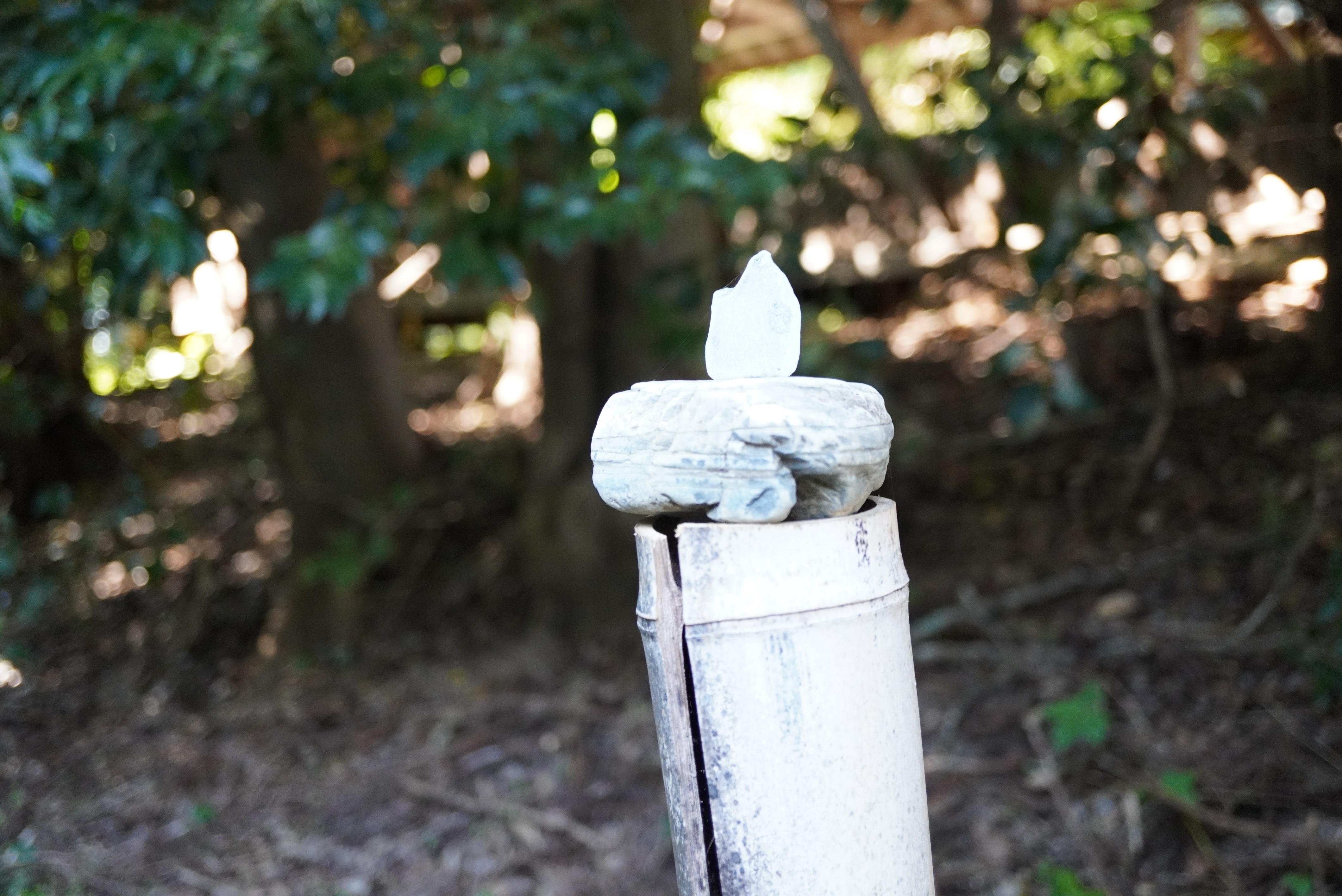 Kyuichi Satoさんの作品7