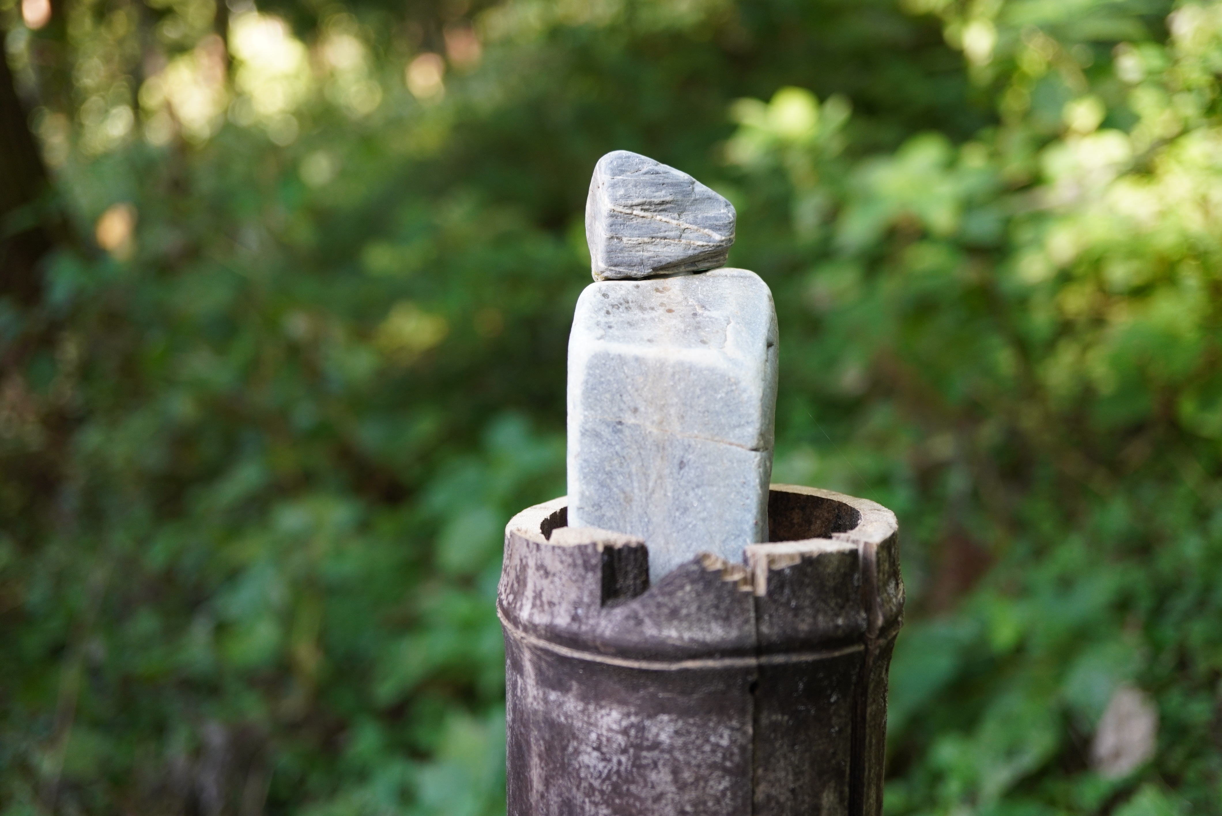 Kyuichi Satoさんの作品8