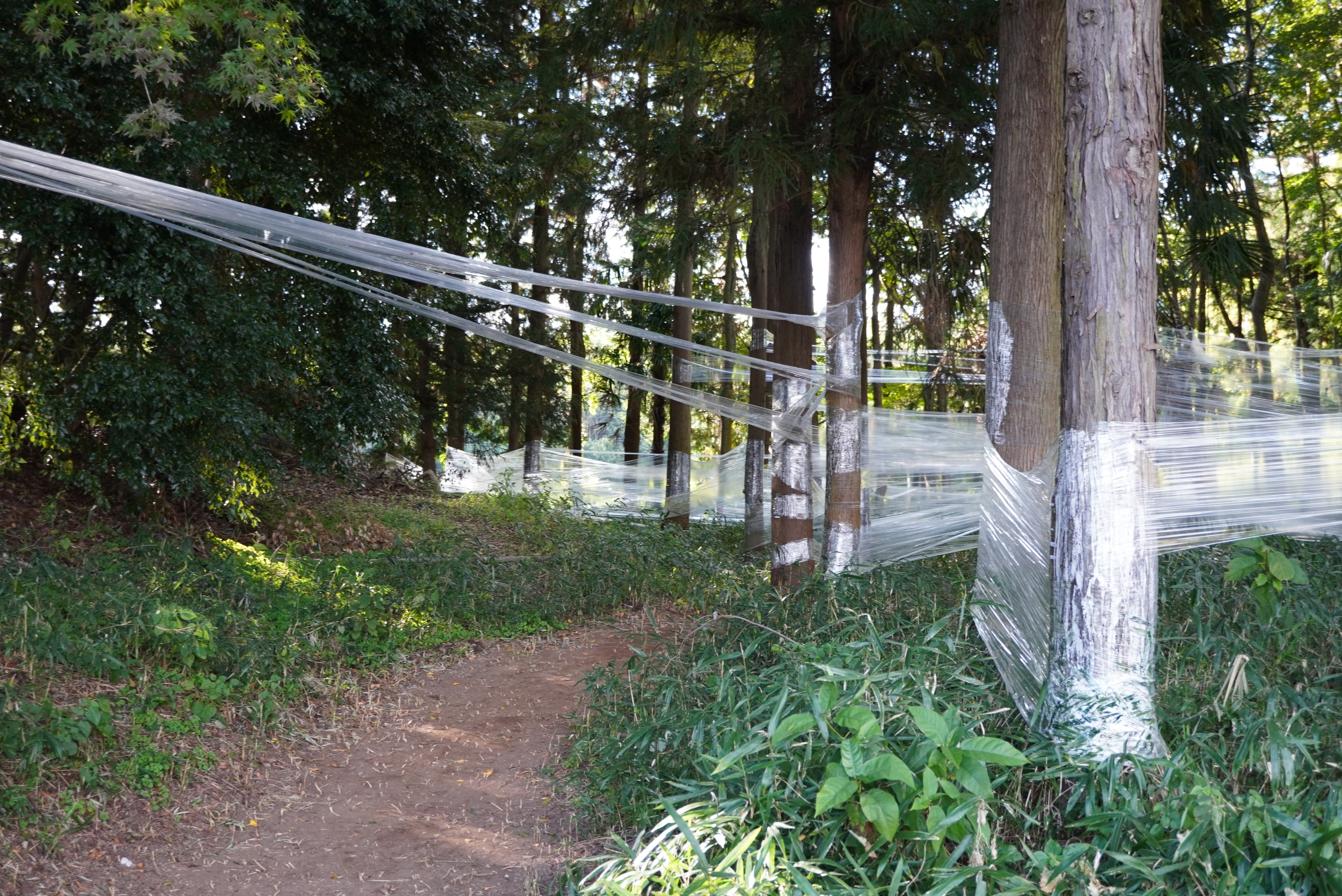 キテラス河原えびす店さんの作品3