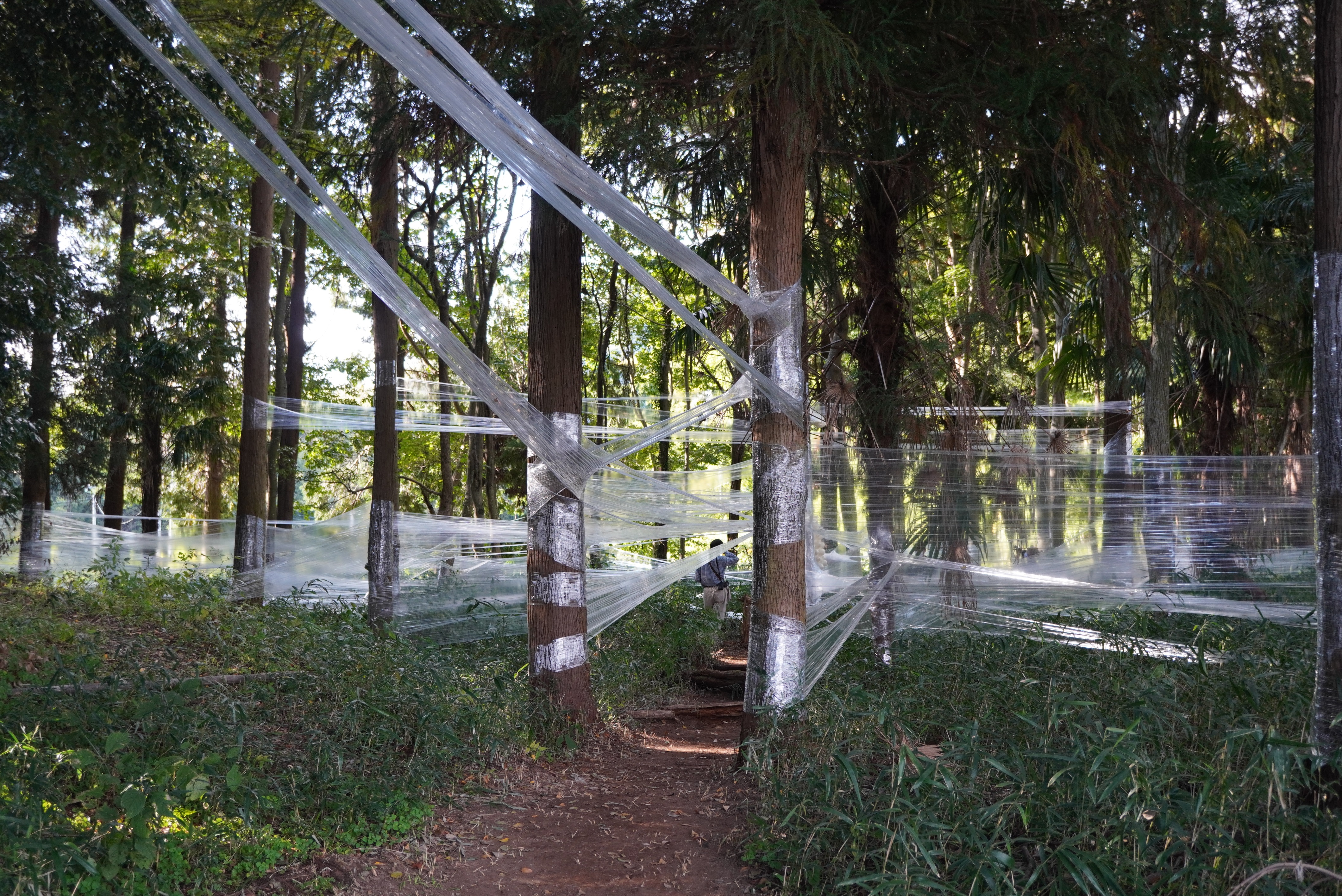 キテラス河原えびす店さんの作品4