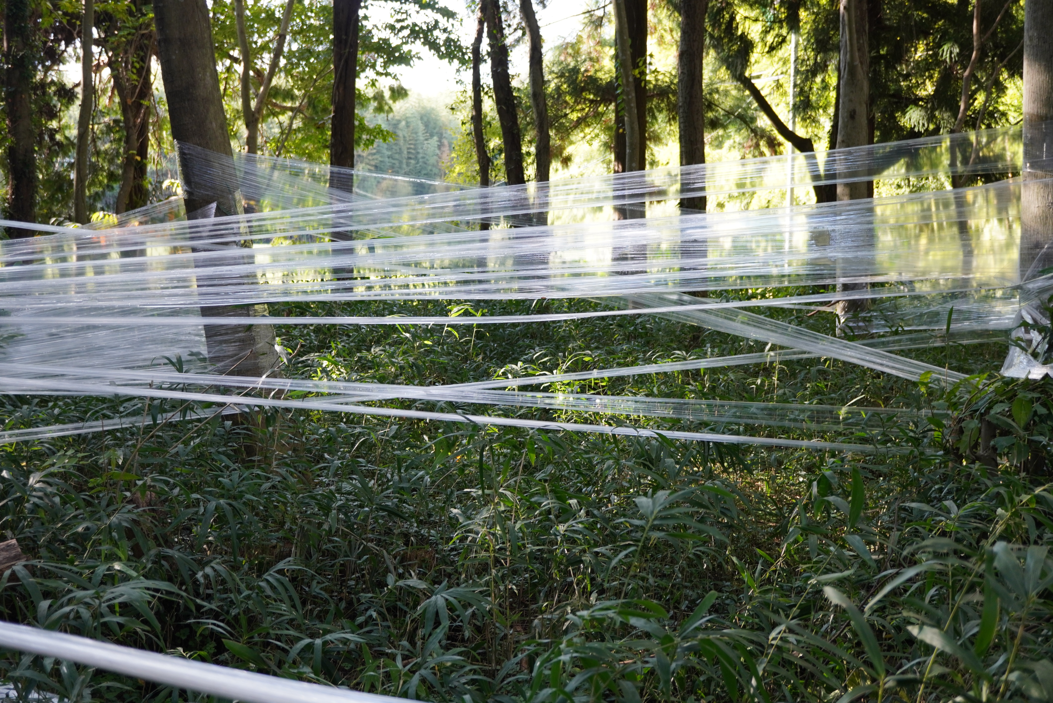 キテラス河原えびす店さんの作品10