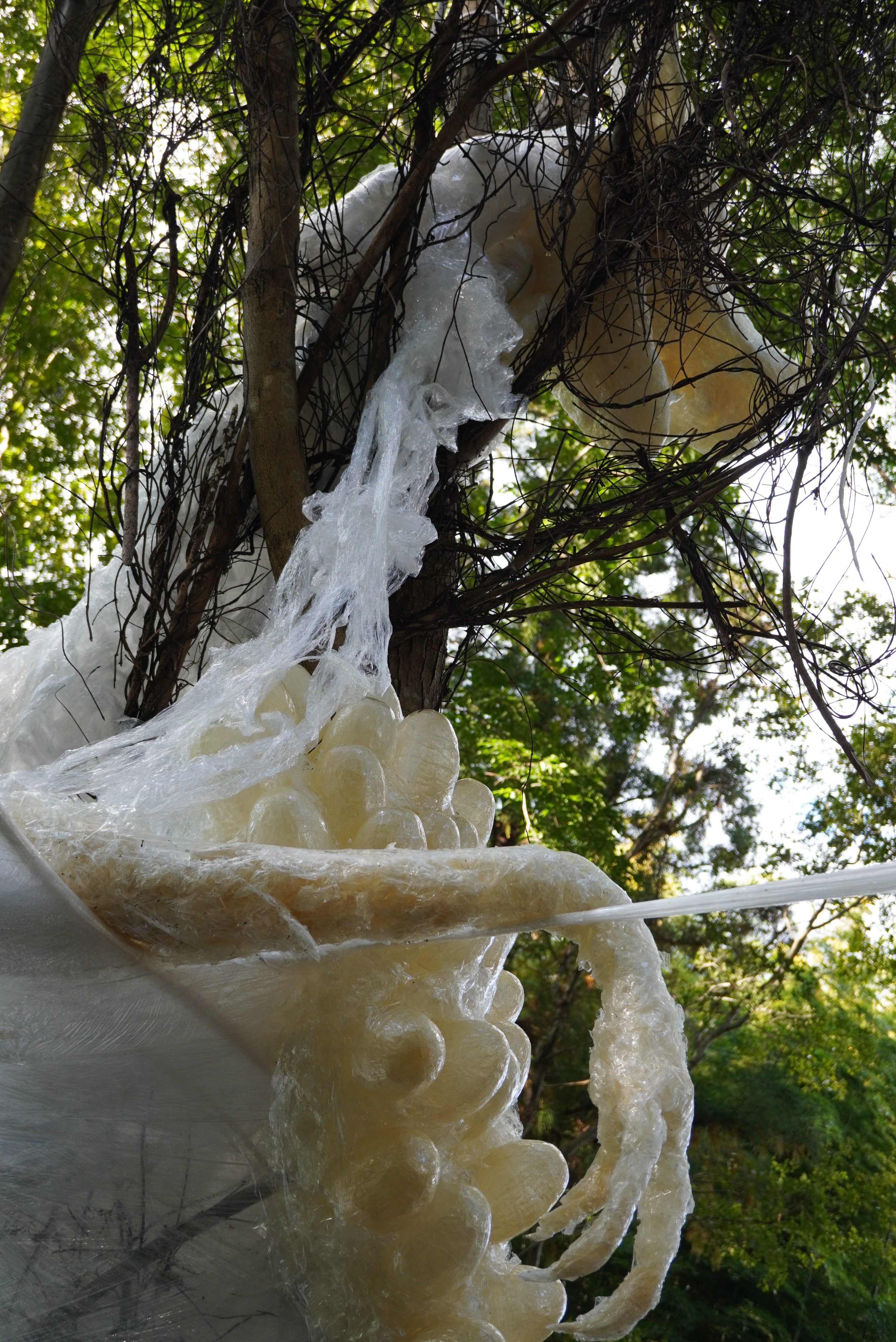 キテラス河原えびす店さんの作品7