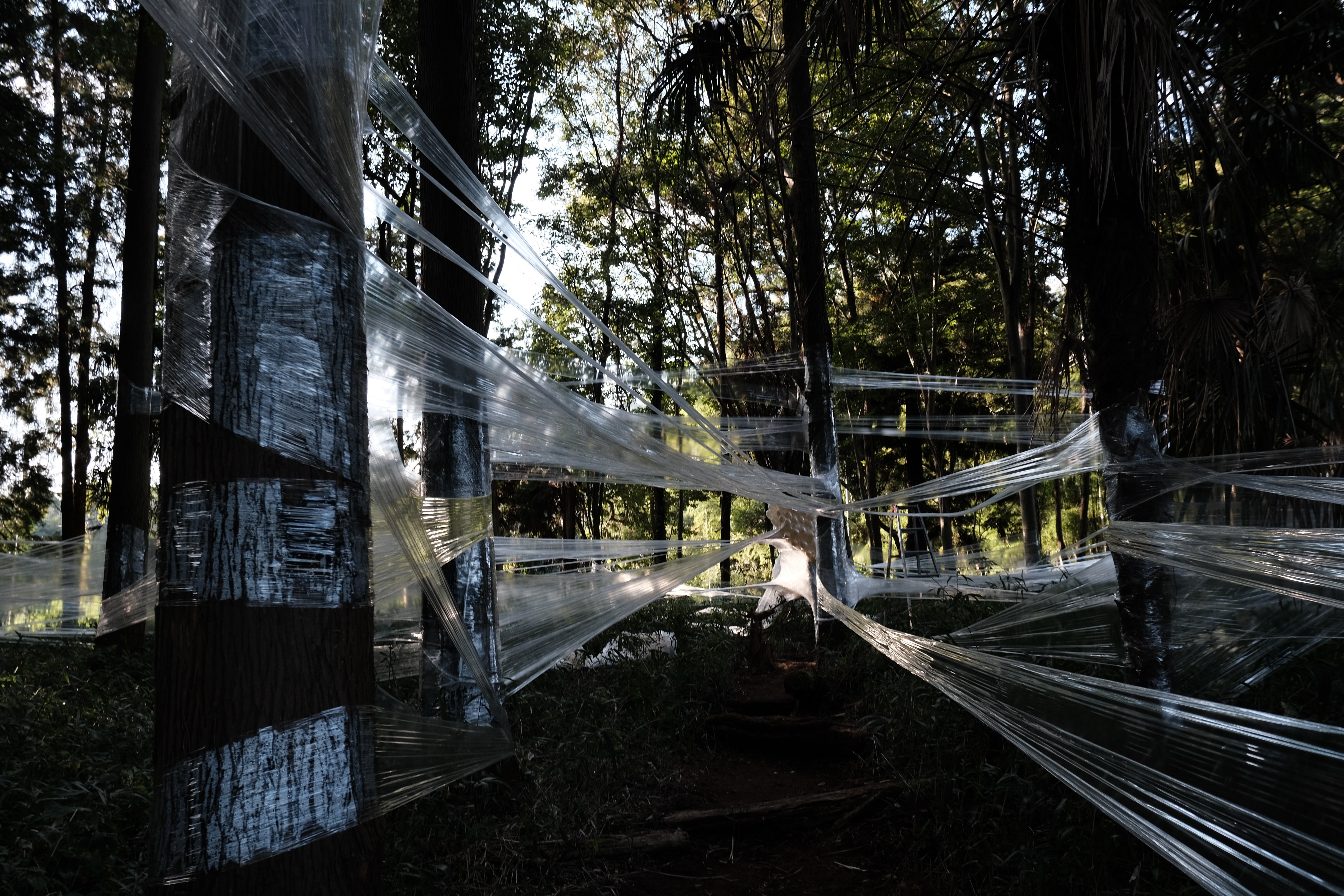 キテラス河原えびす店さんの作品5